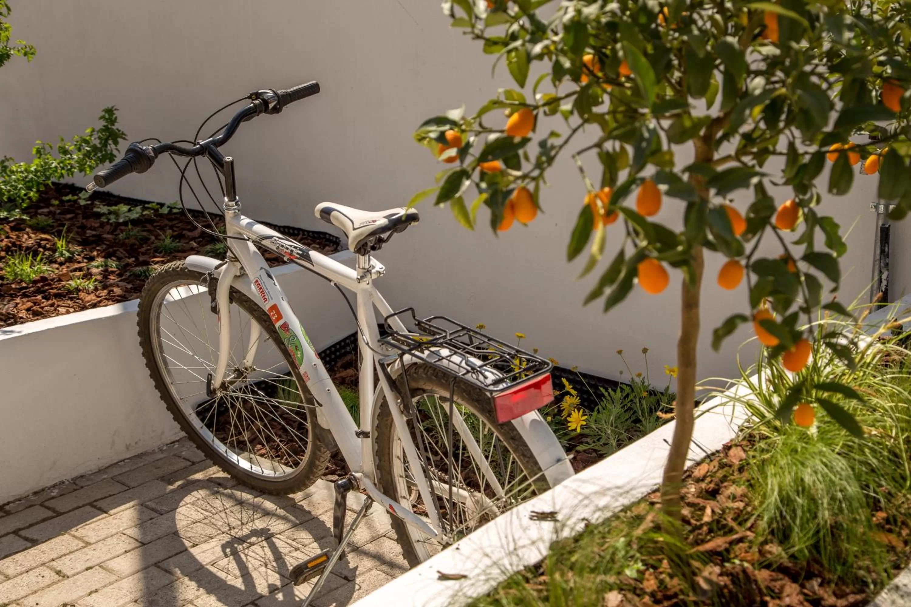Cycling in Urban Garden Hotel