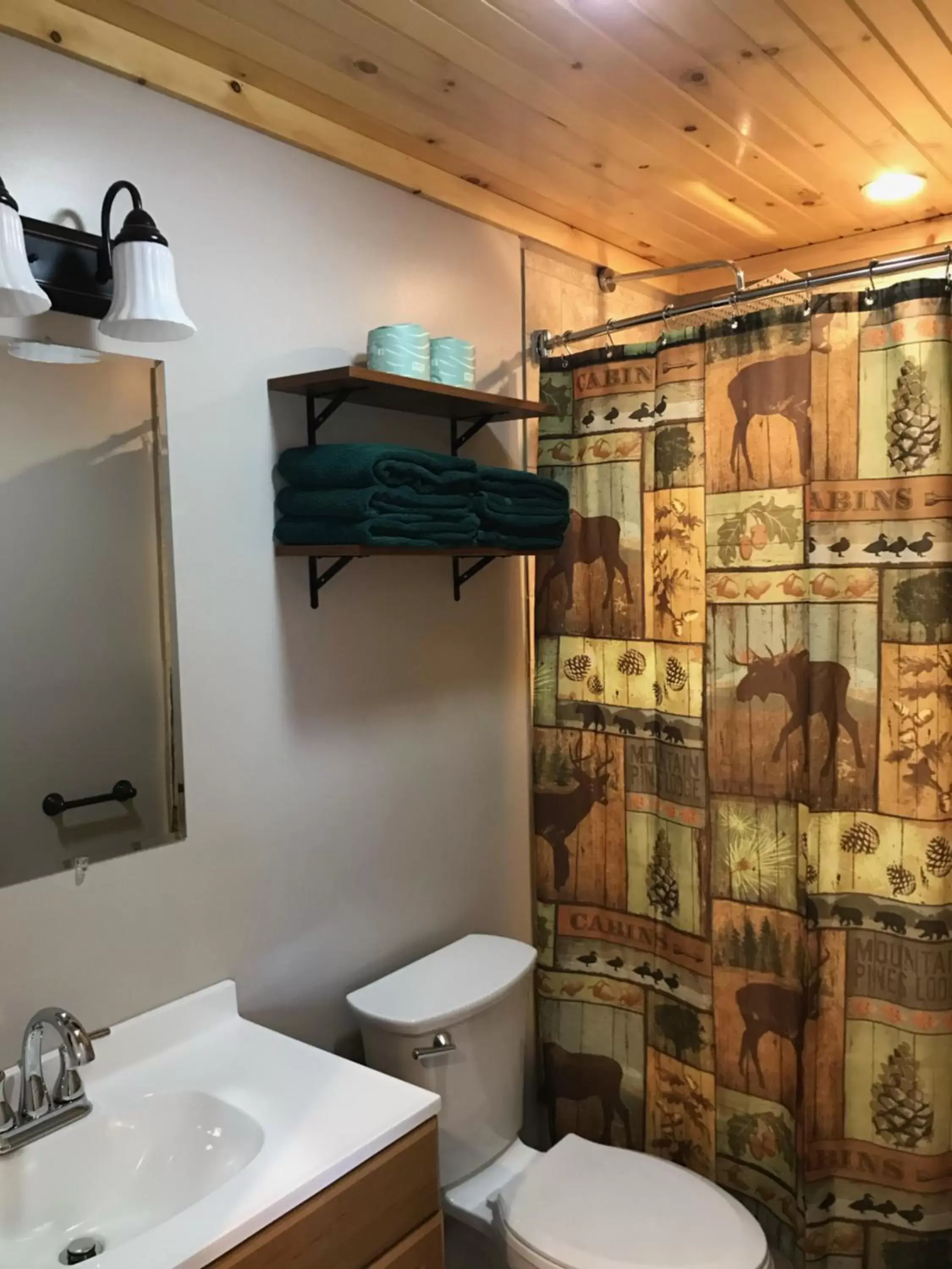 Bathroom in Hill View Motel and Cottages