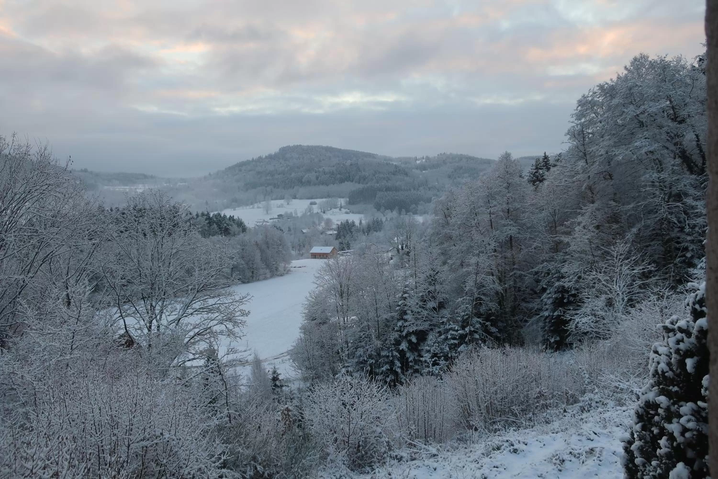 On site in chambres d'hôtes le Chêne