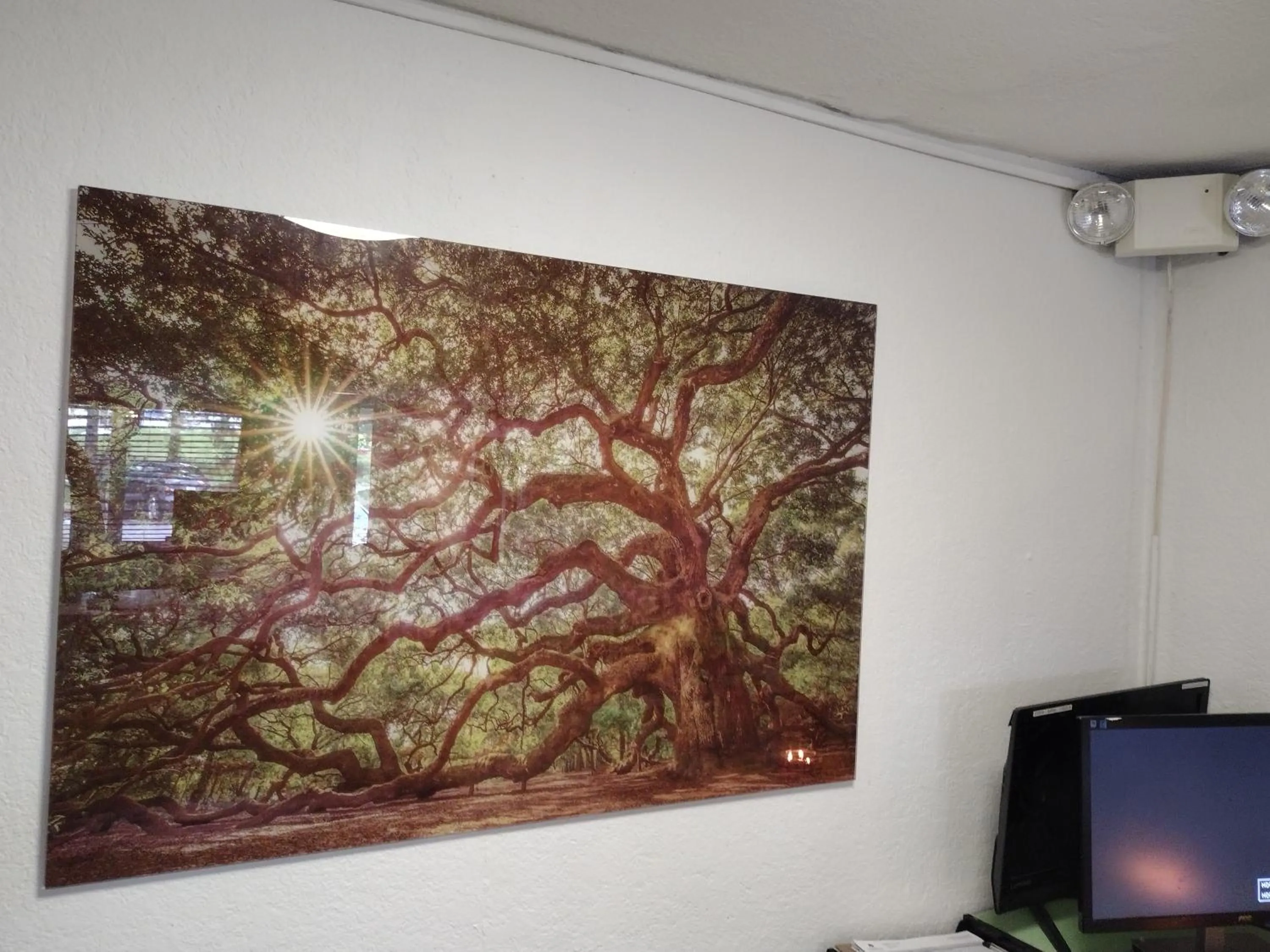 Lobby or reception, TV/Entertainment Center in Capital O Hotel Richmond Hill/Savannah area I-95