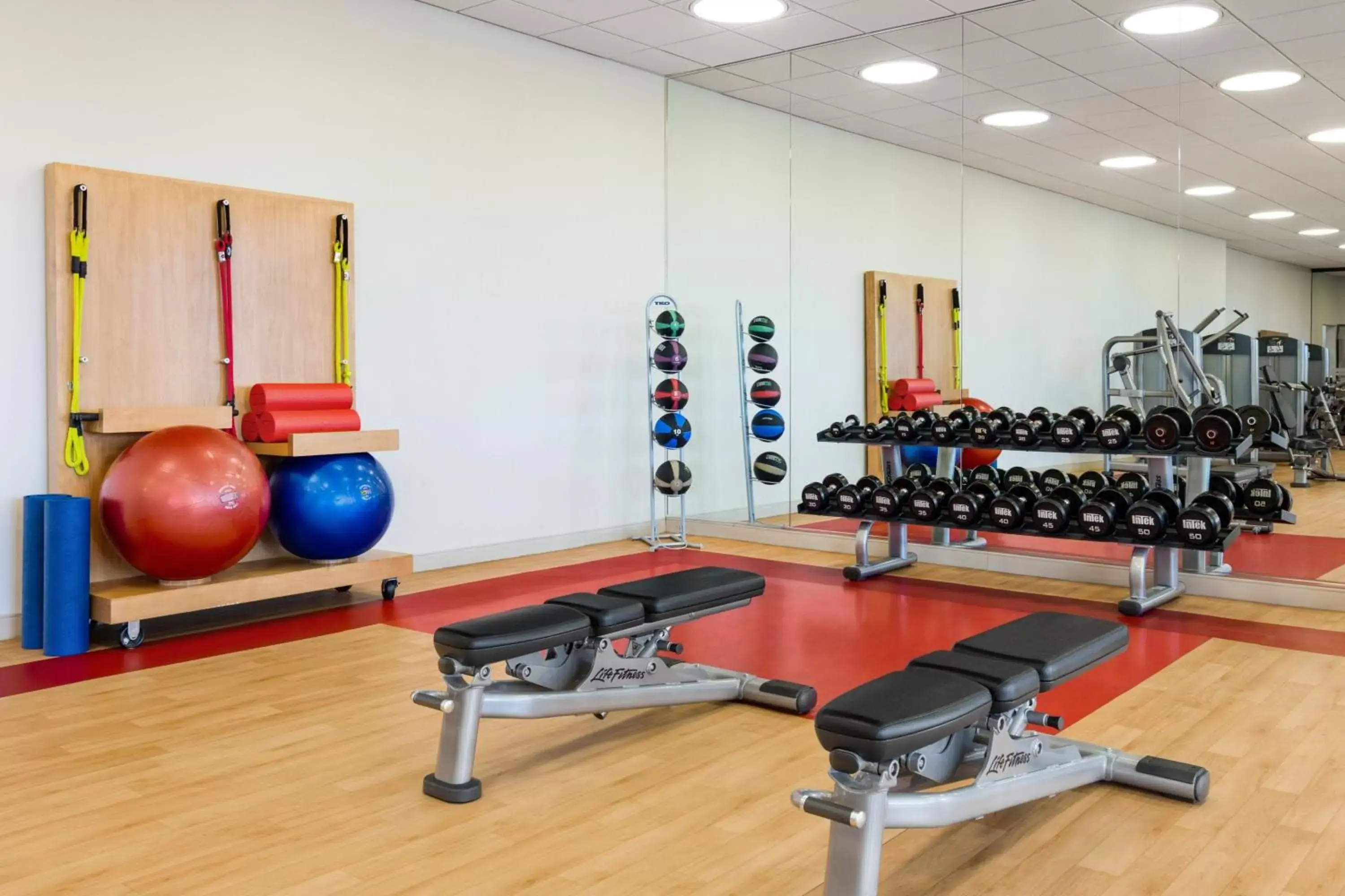 Fitness centre/facilities, Fitness Center/Facilities in Sheraton Suites Chicago O'Hare