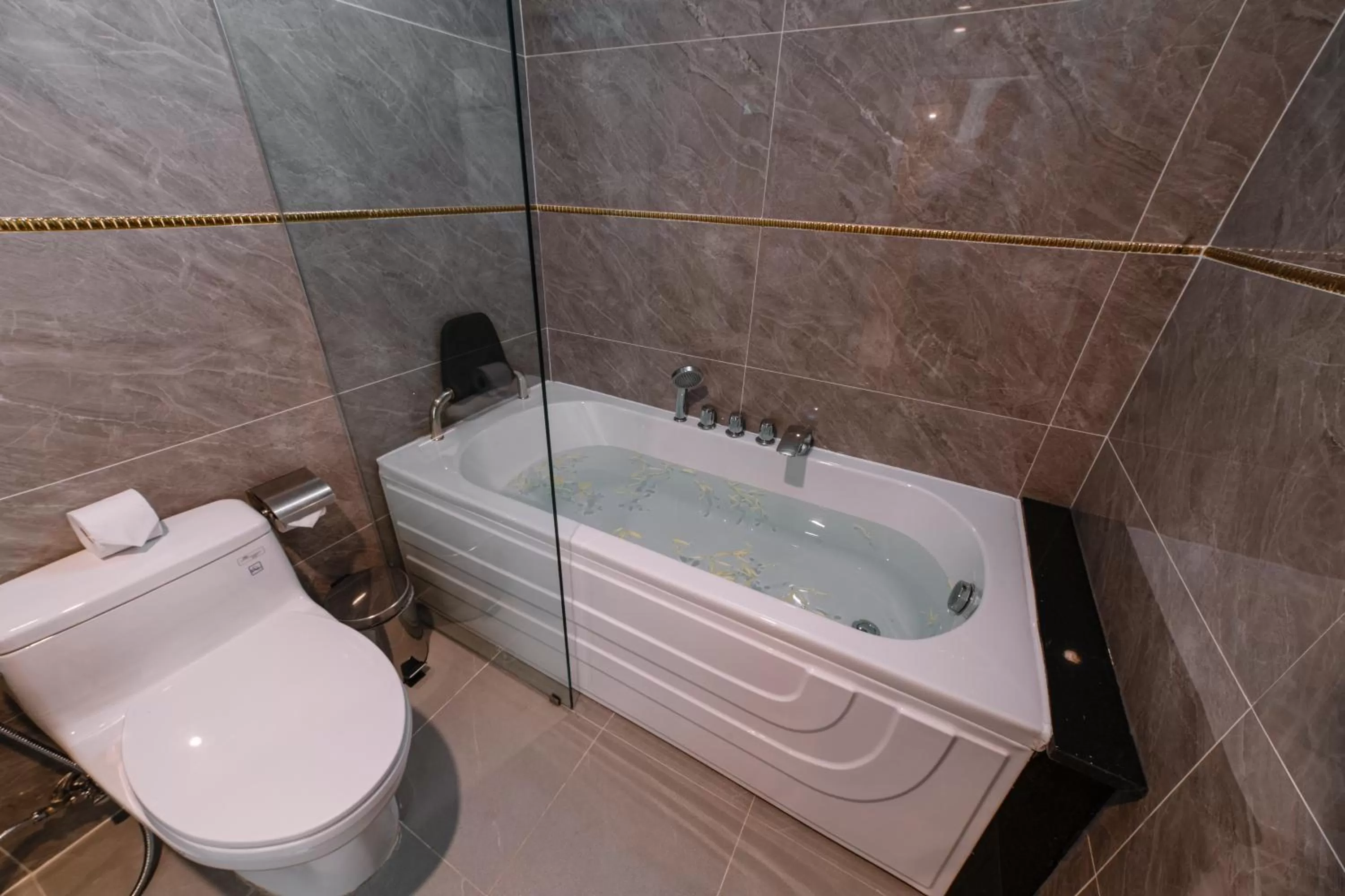 Sauna, Bathroom in Saigon Hanoi Central Hotel