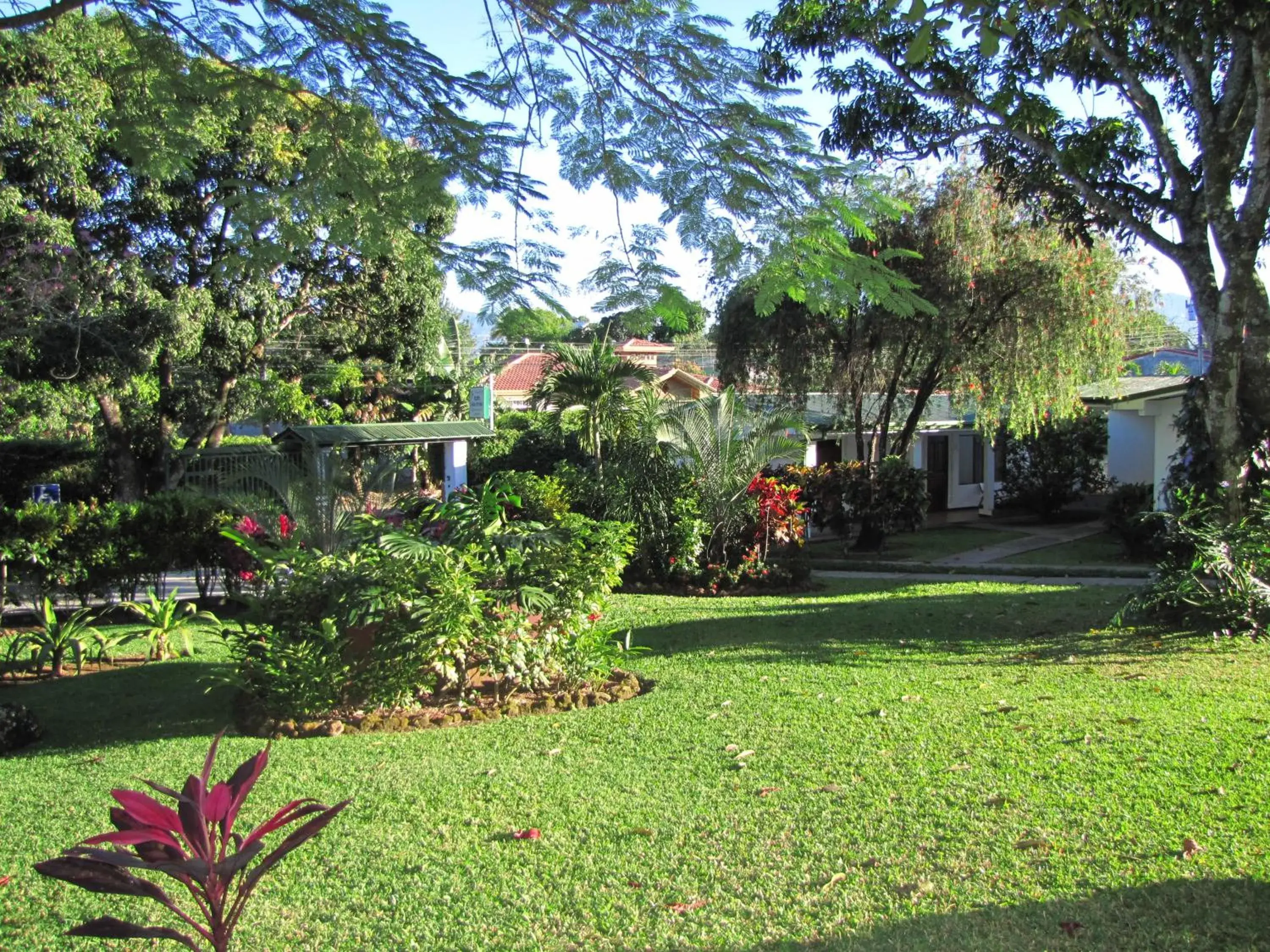 Garden in Hotel La Rosa de America