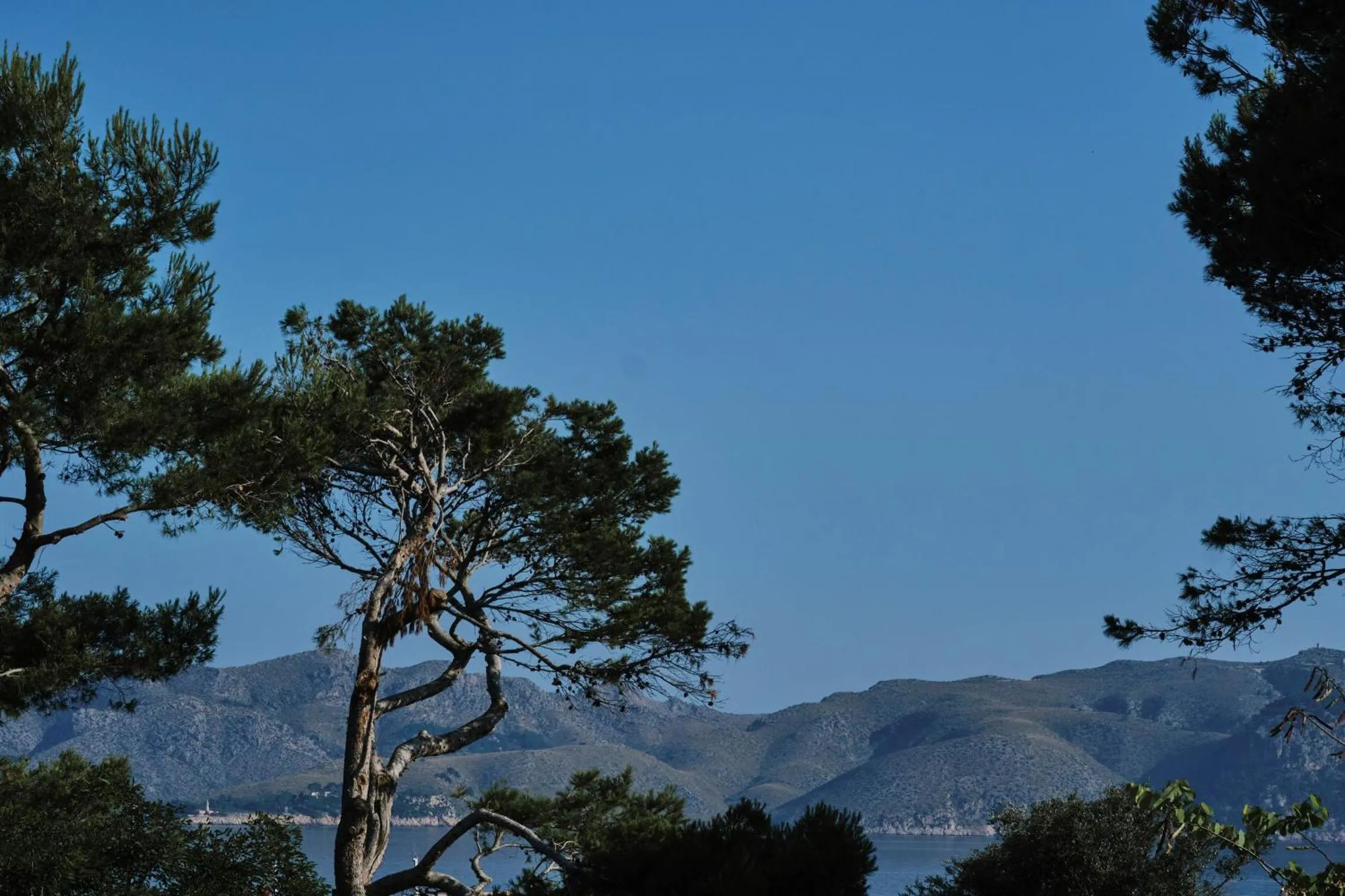 Nearby landmark in Prinsotel Mal Pas - Adults Only