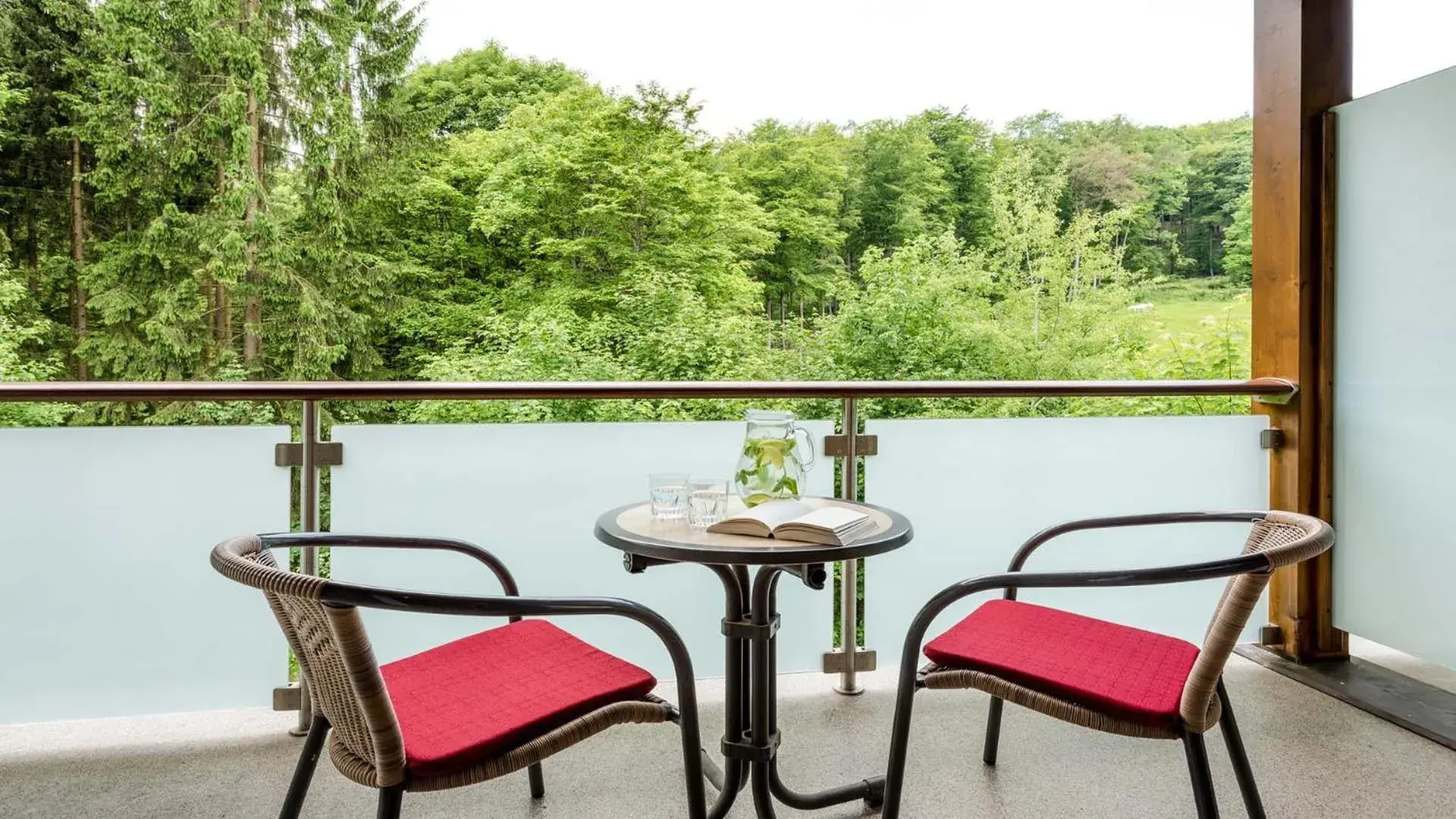 Balcony/Terrace in Landhotel Heimathenhof