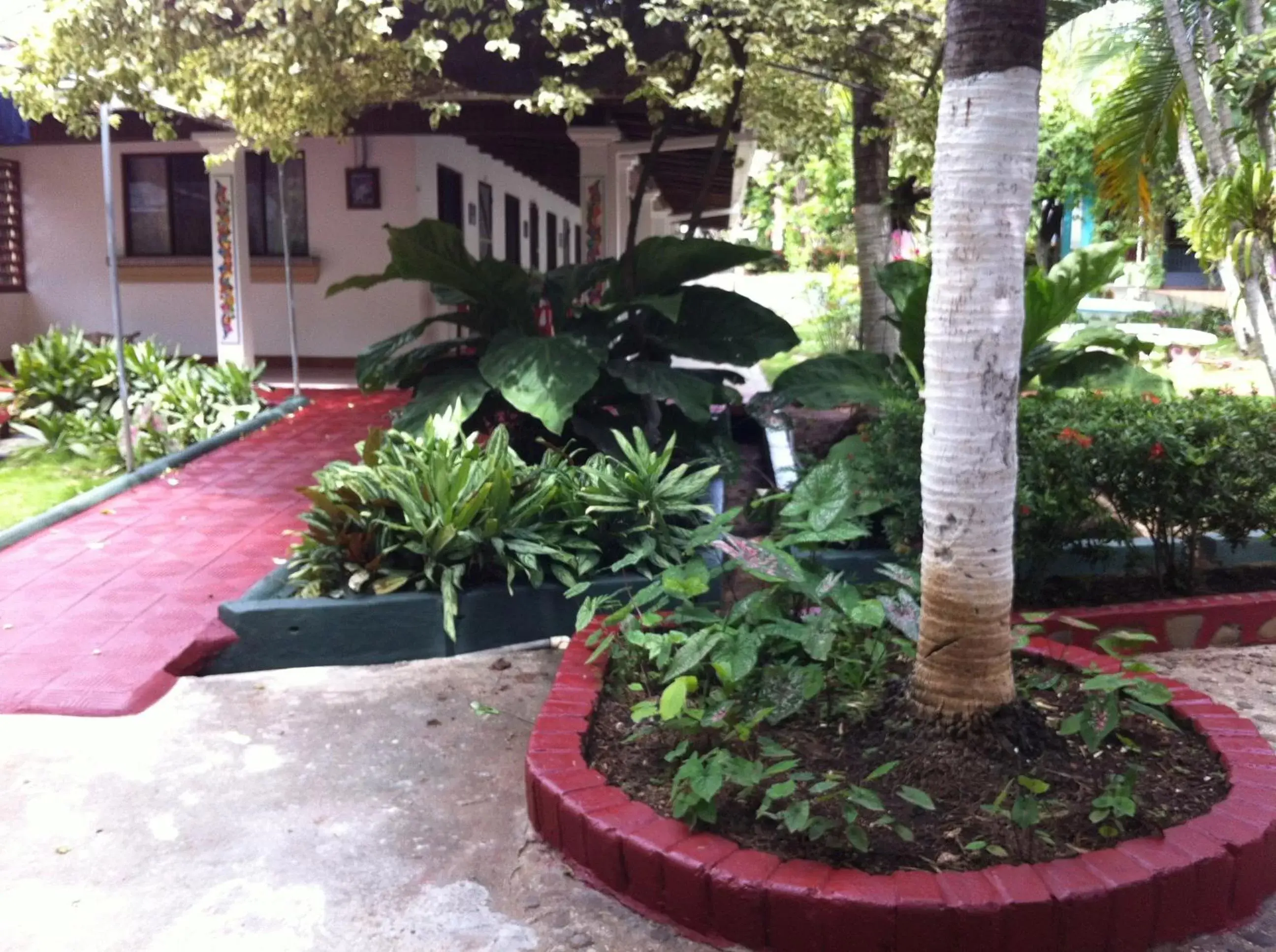 Day, Garden in Hotel Marielos