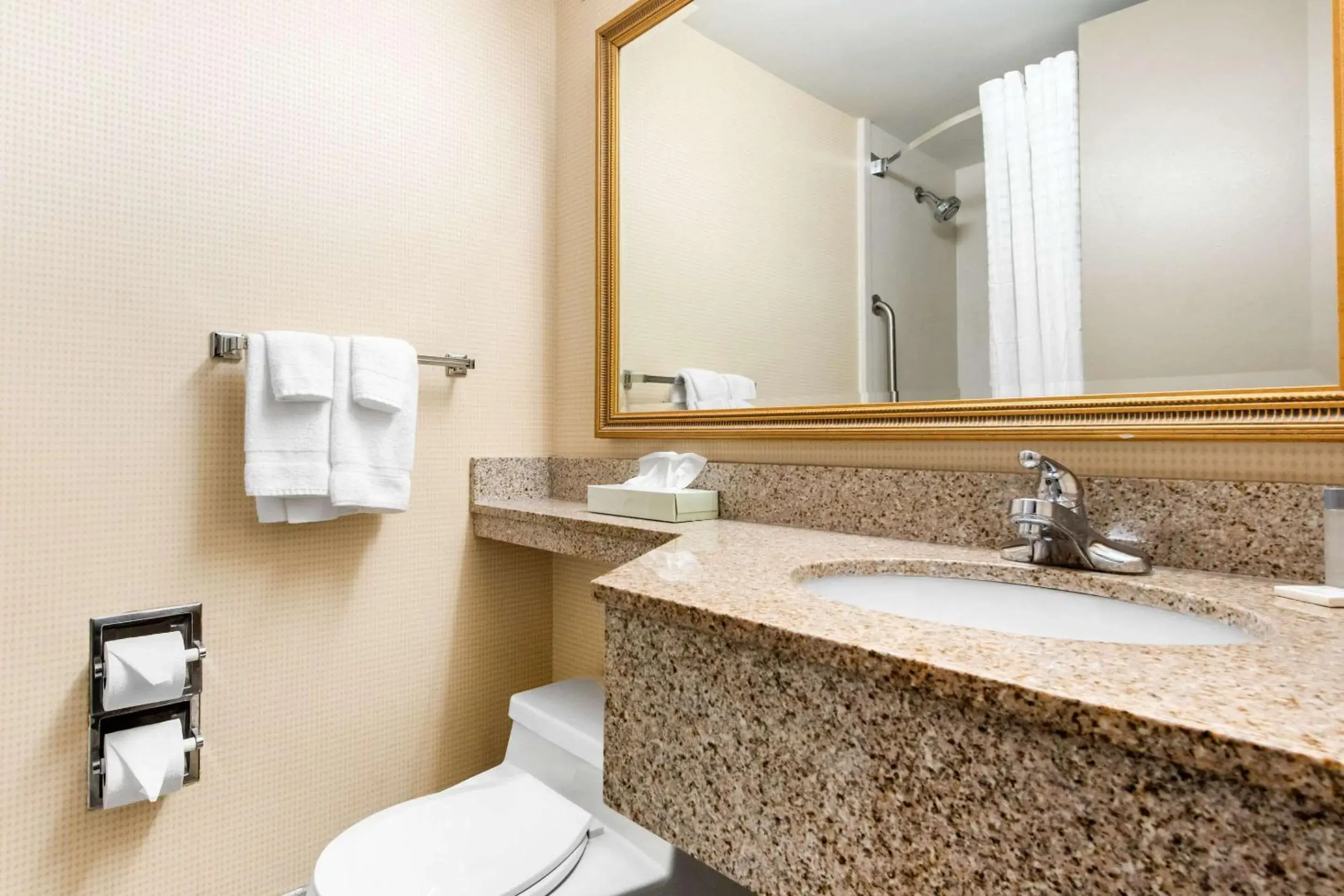 Bathroom in Quality Inn & Suites