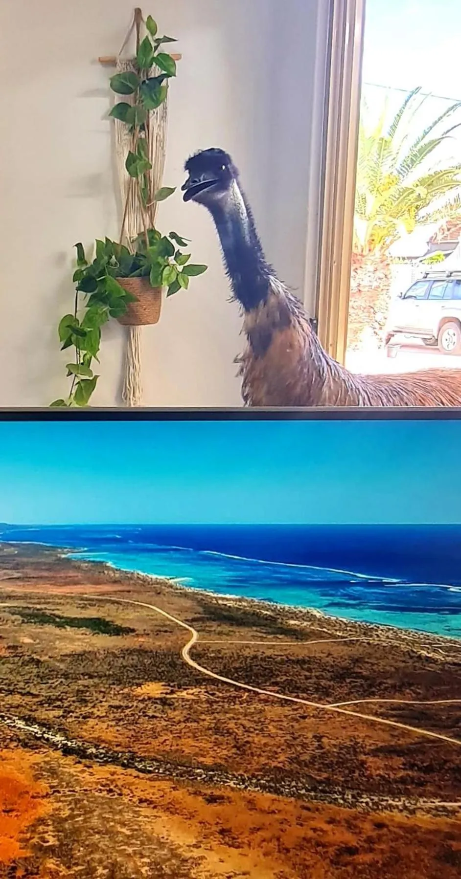 Ningaloo Lodge Exmouth