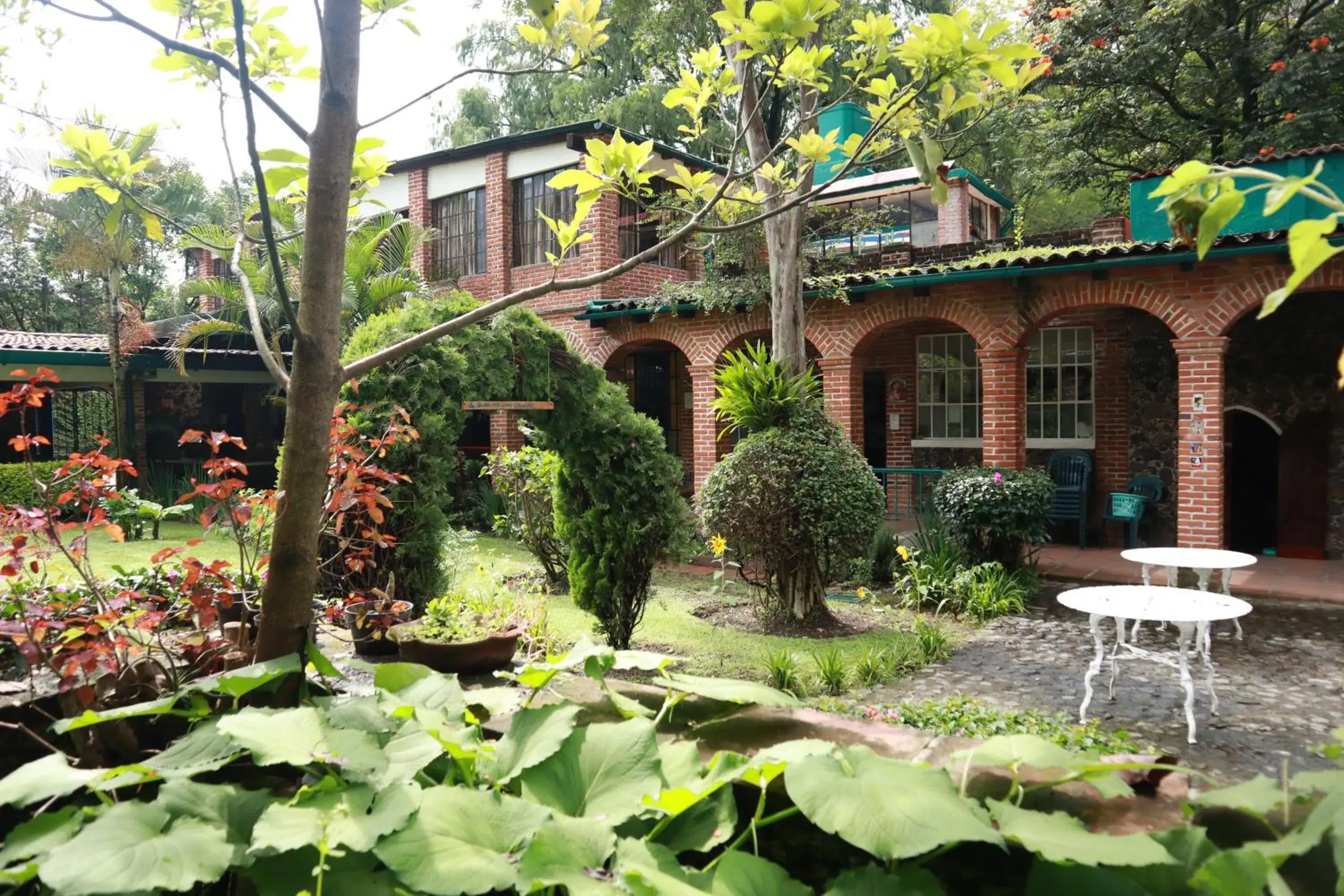 Garden in Hotel La Posada del Valle