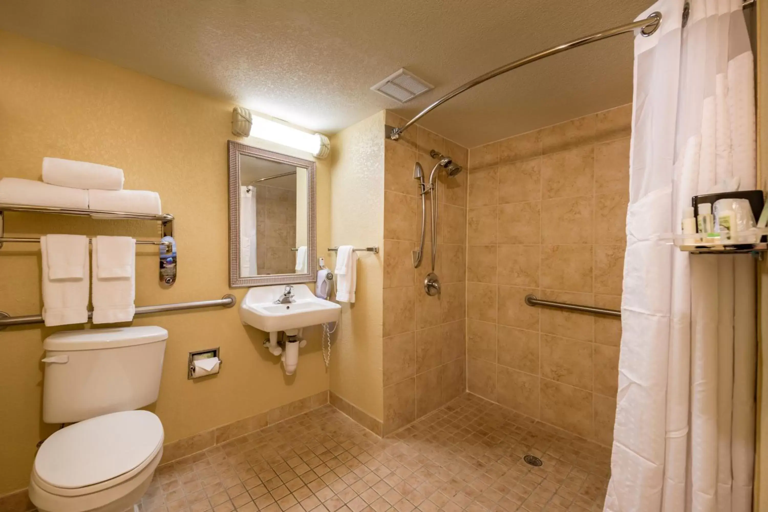 Photo of the whole room, Bathroom in Holiday Inn & Suites Orlando SW - Celebration Area, an IHG Hotel