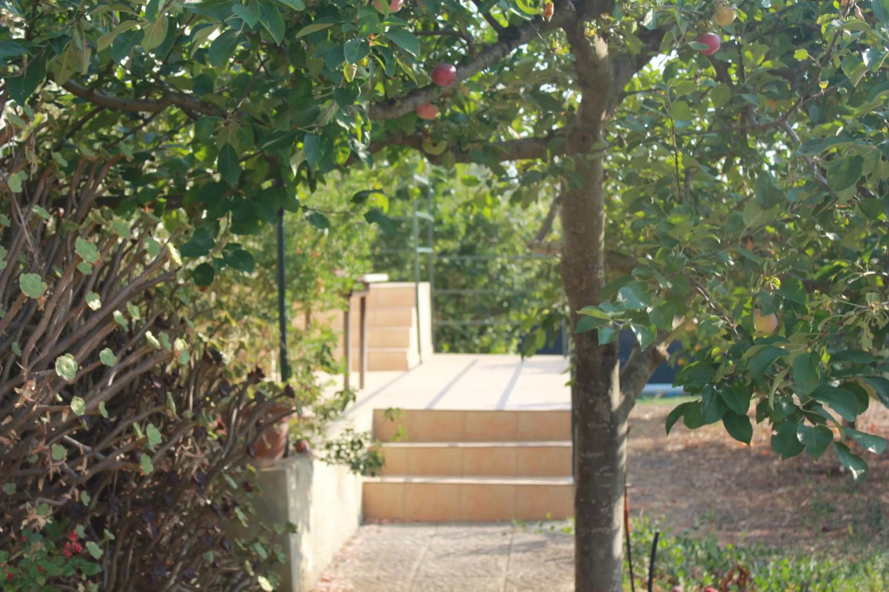 Facade/entrance in Ronnavona Casa Vacanze B&B