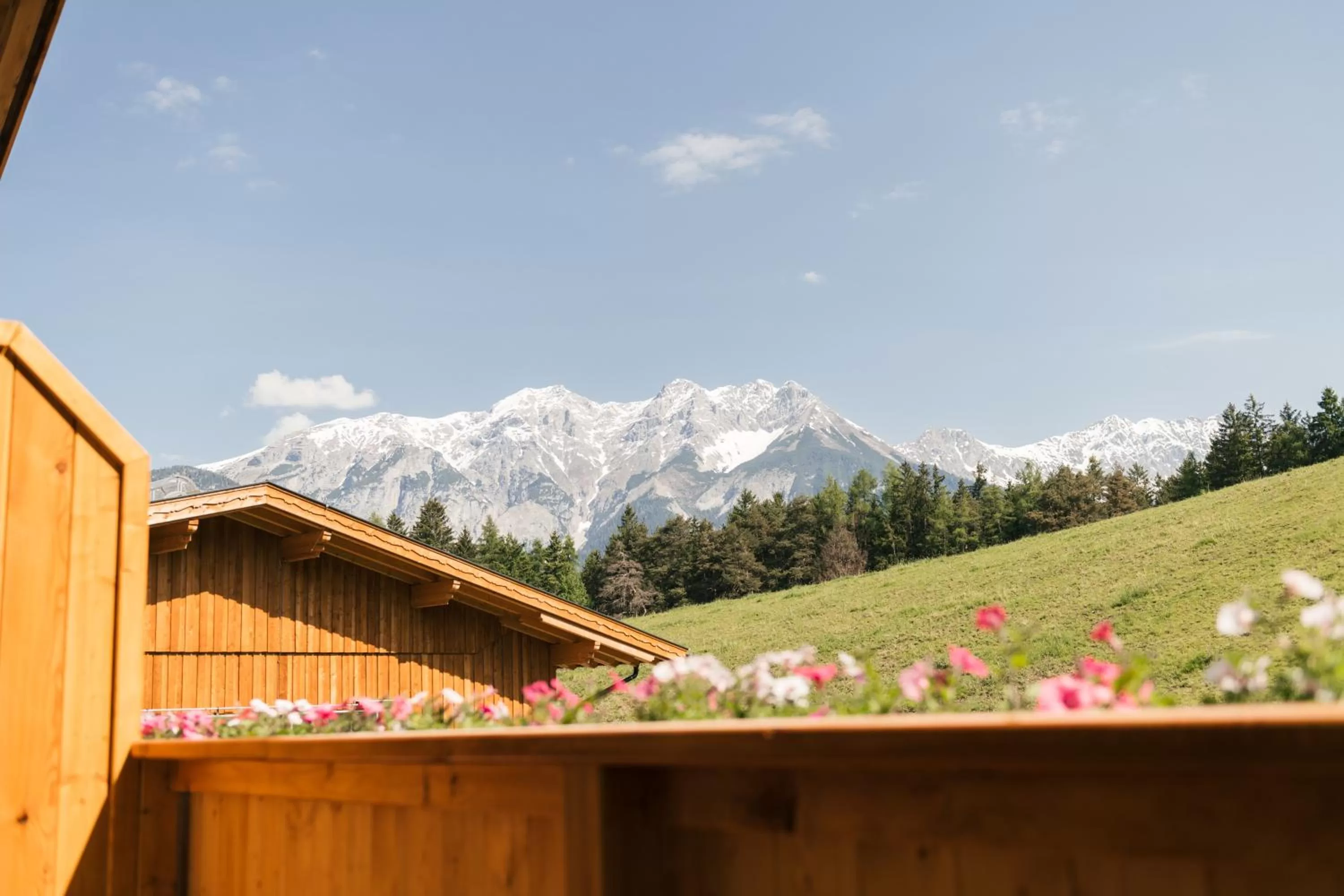 Spring in Edenhauserhof