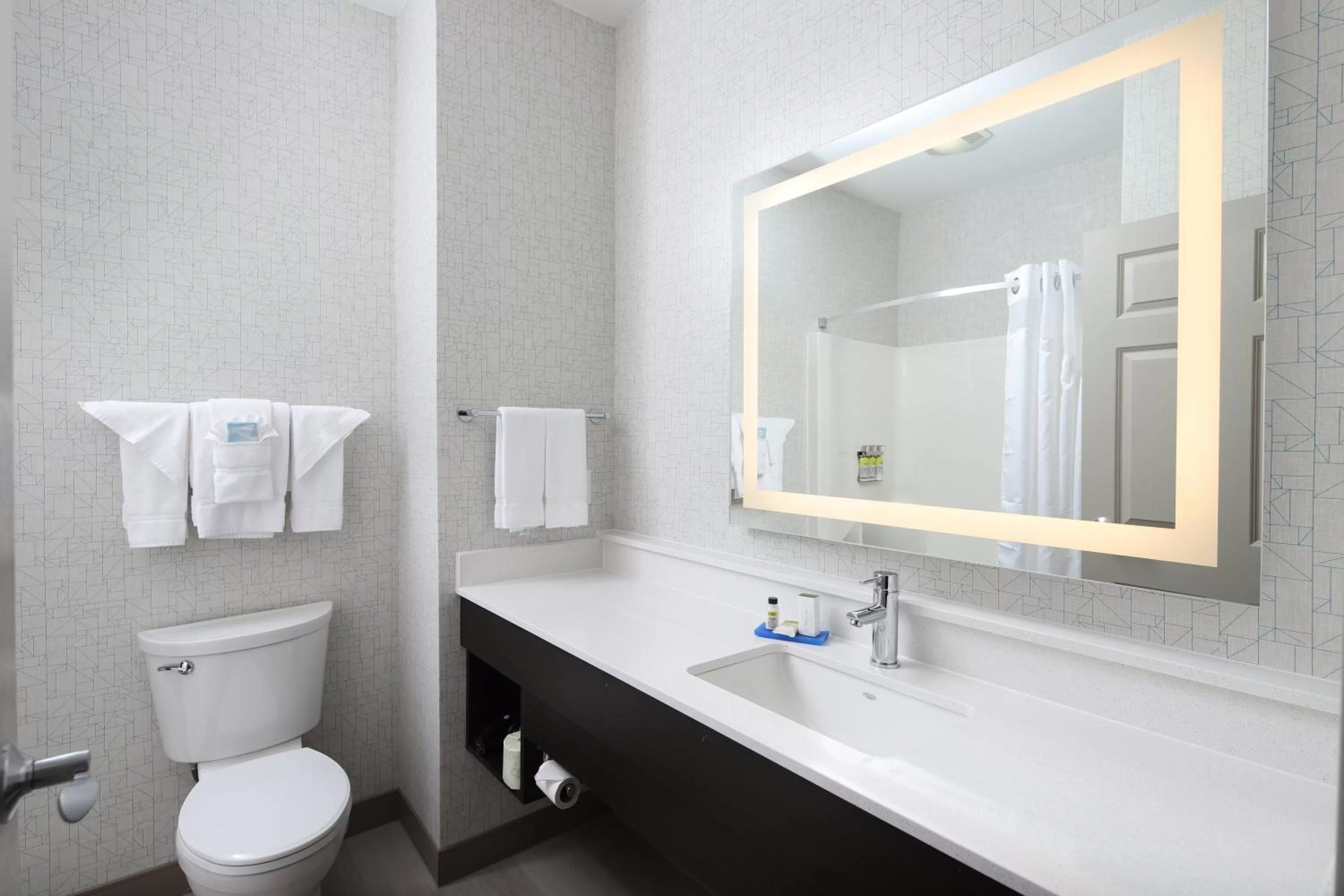Bathroom in Holiday Inn Express Grand Rapids Southwest by IHG