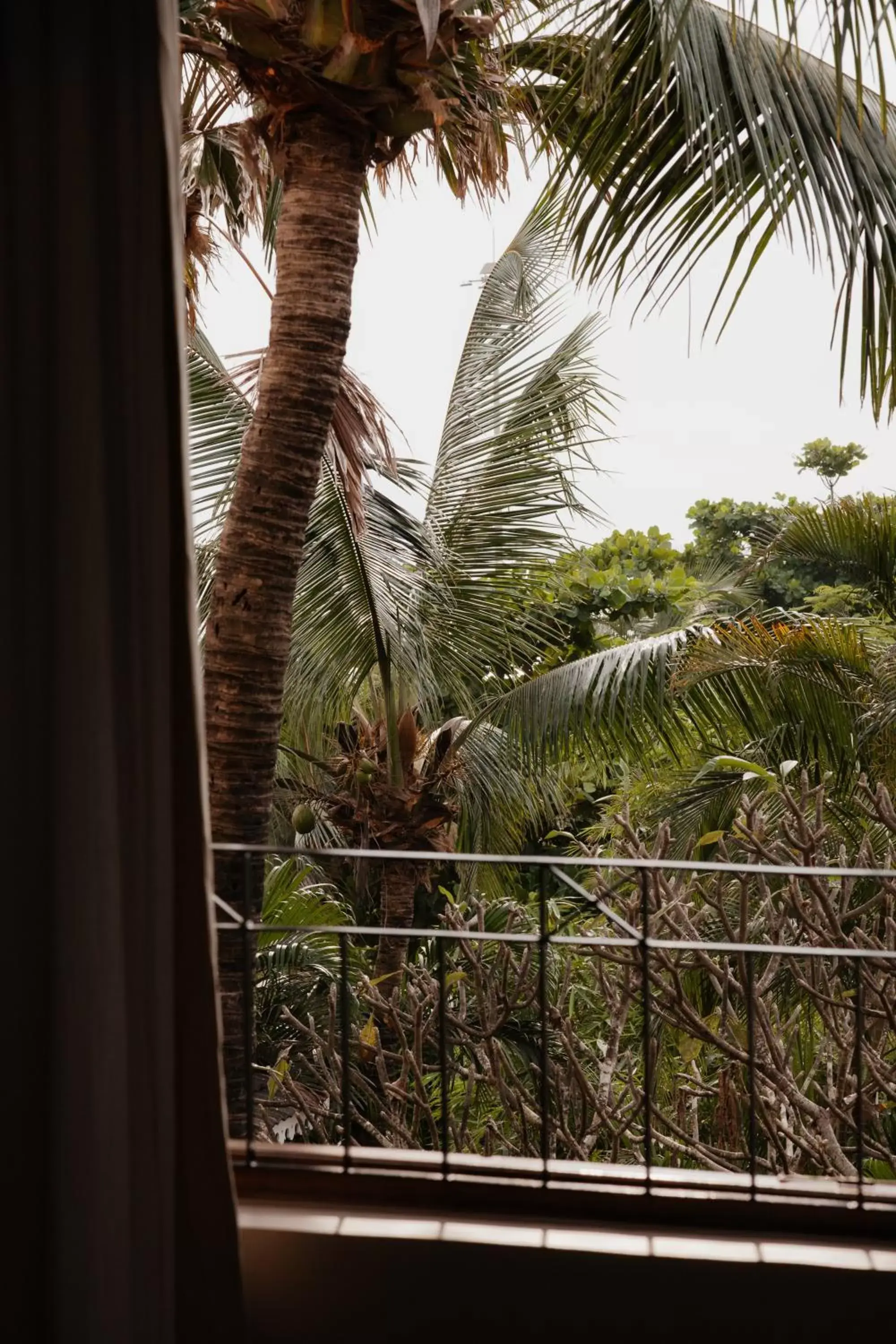 View (from property/room) in Fiesta Beach Resort