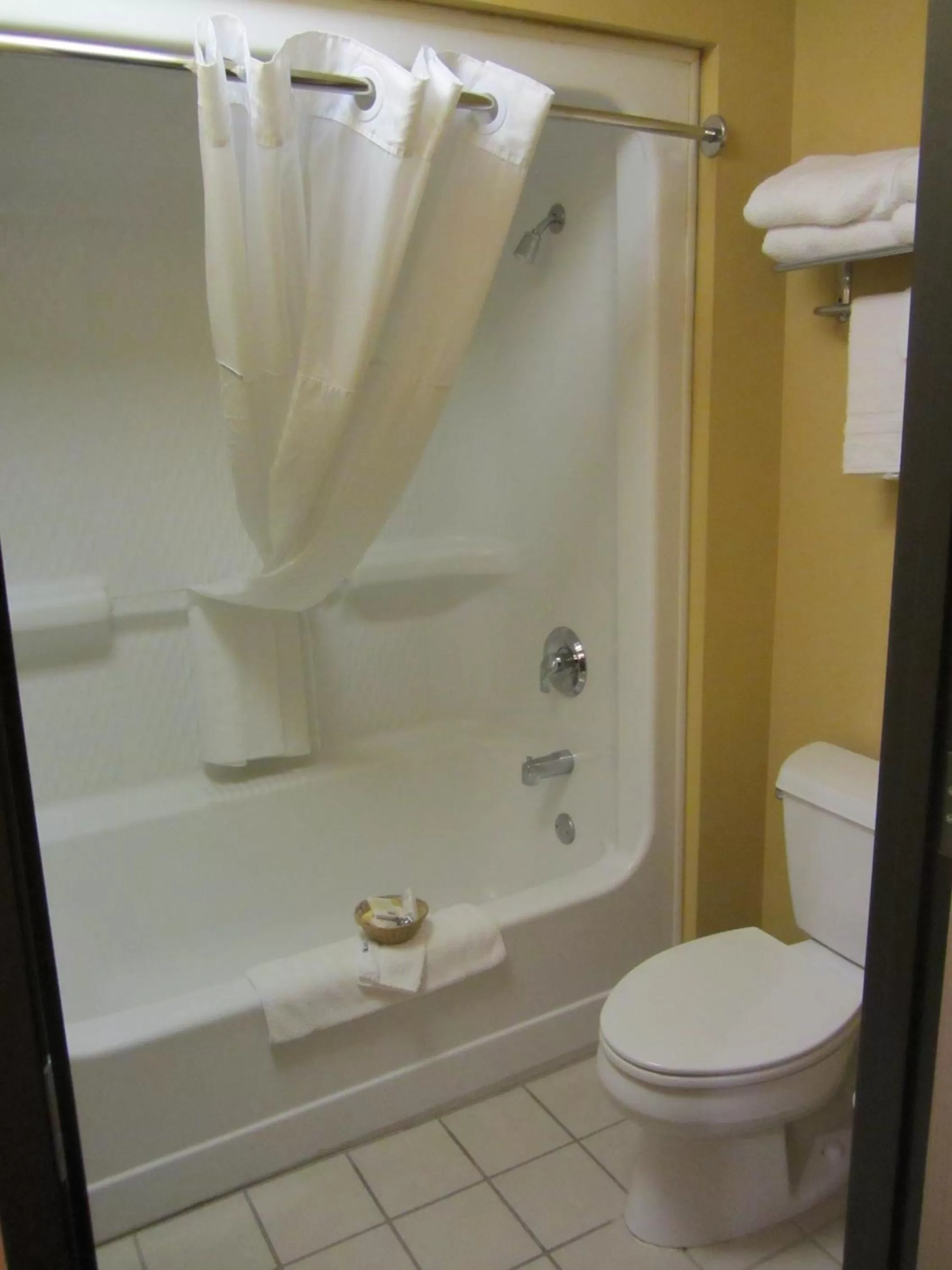 Bathroom in Microtel Inn & Suites by Wyndham Amarillo