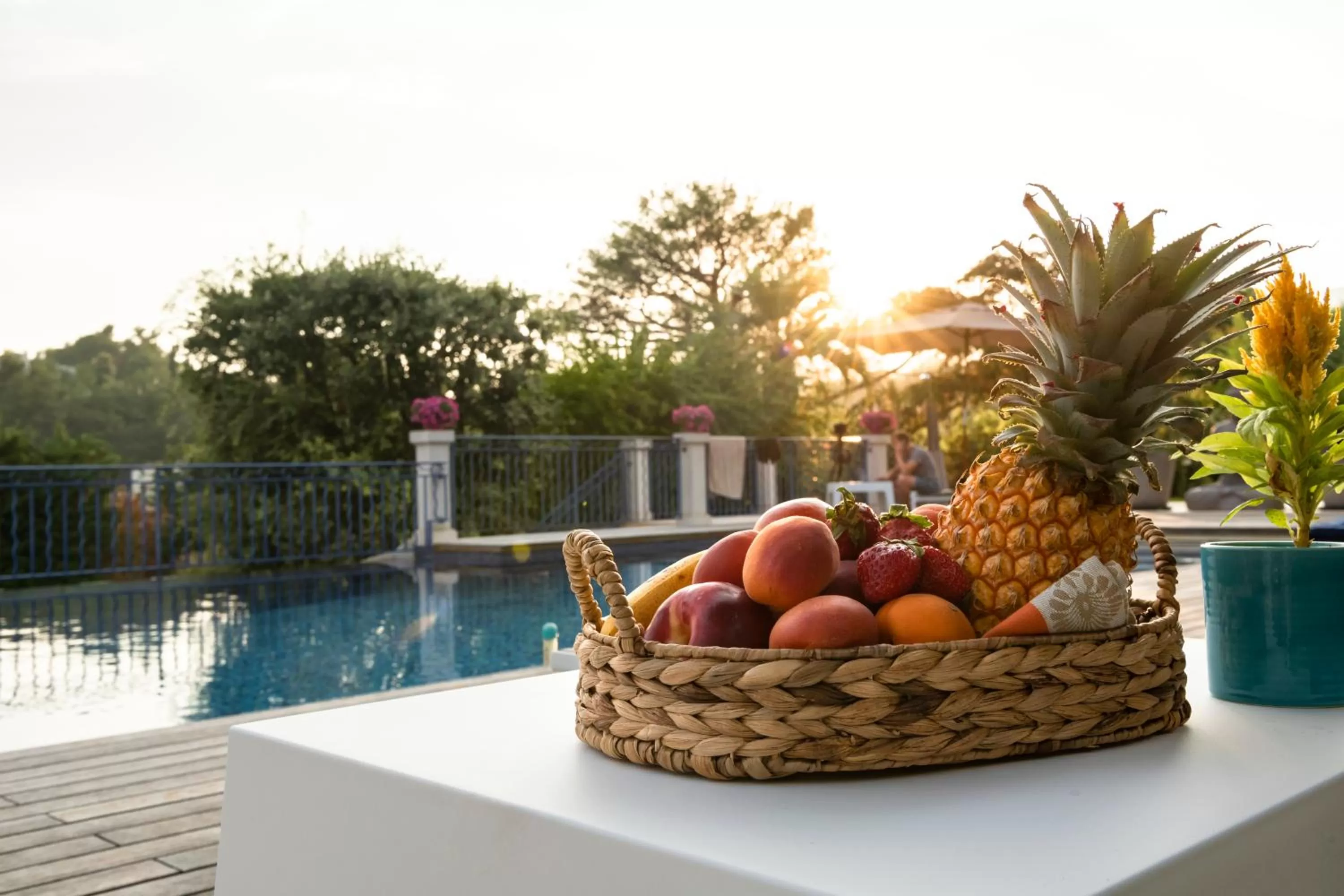 Swimming Pool in TERRE DE REVE