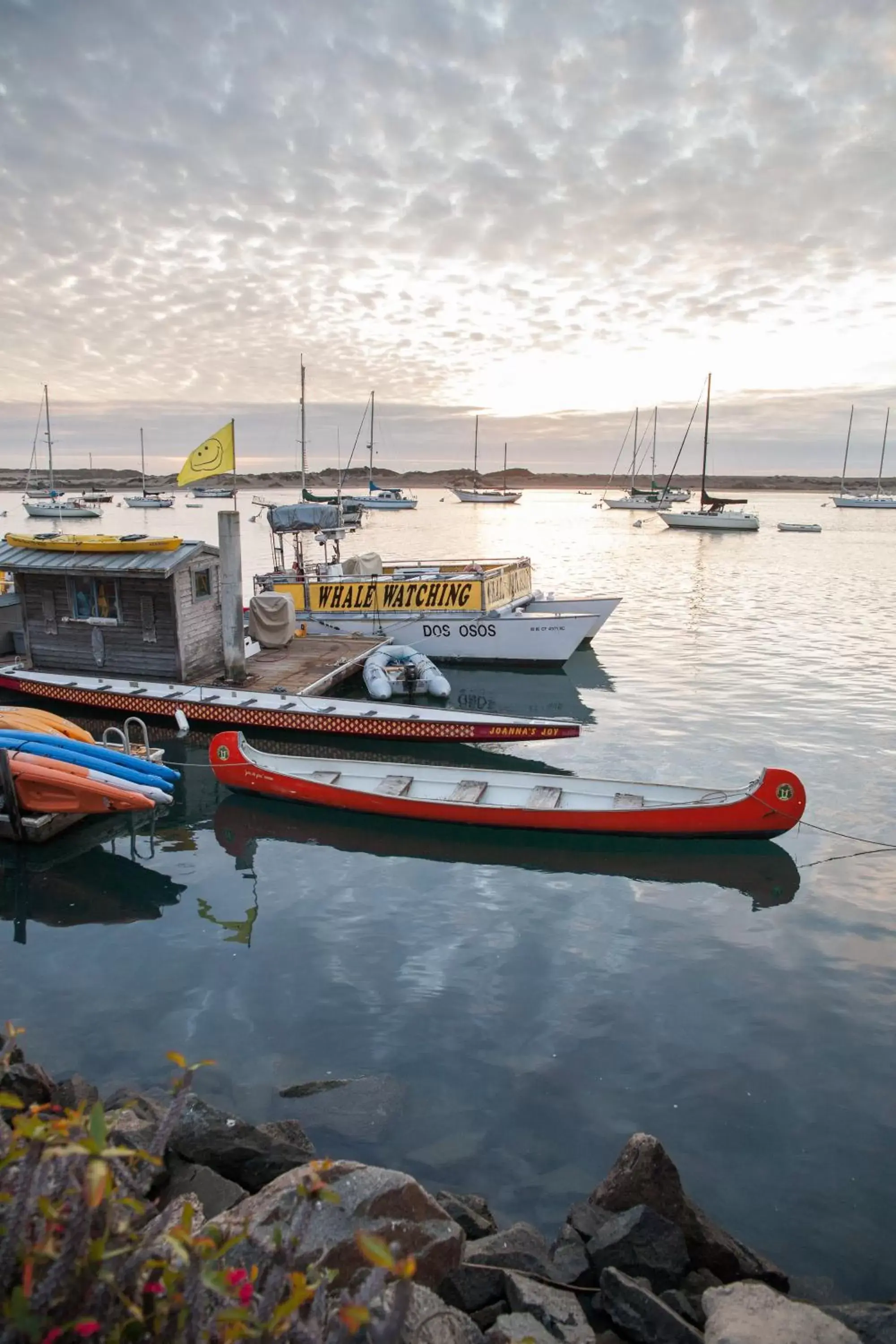 Activities in The Landing at Morro Bay