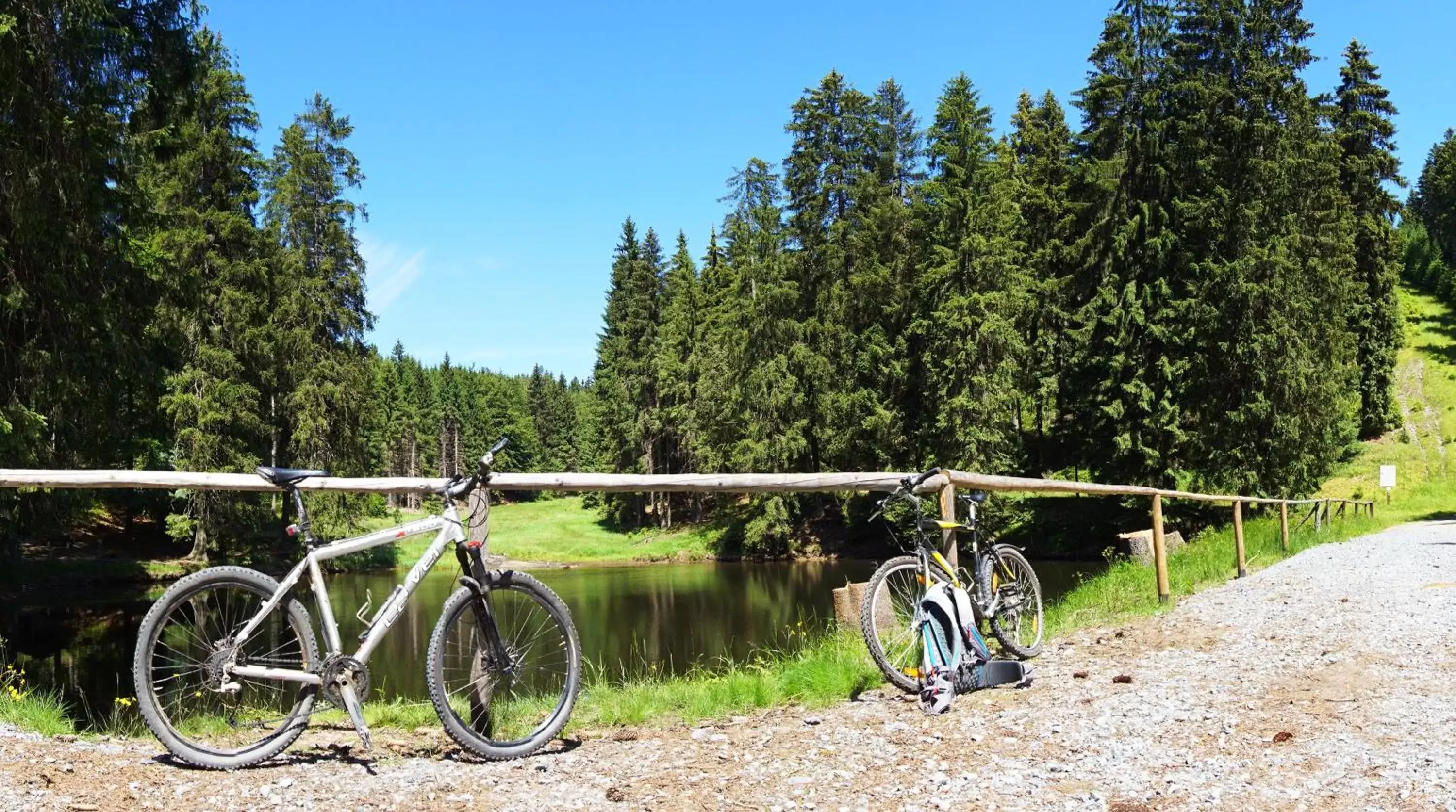 Cycling, Other Activities in Hotel Beck