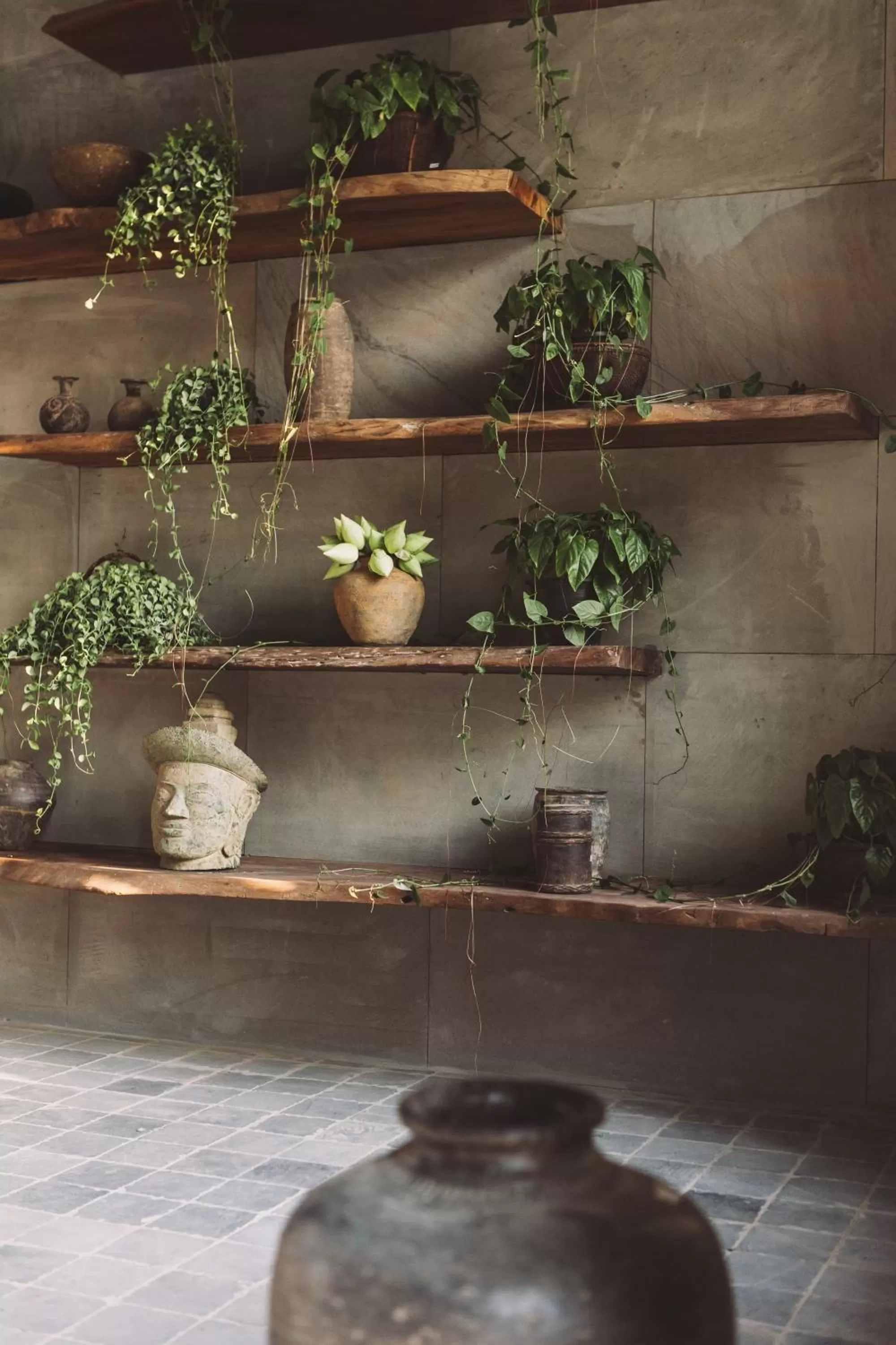 Property building in Zannier Phum Baitang