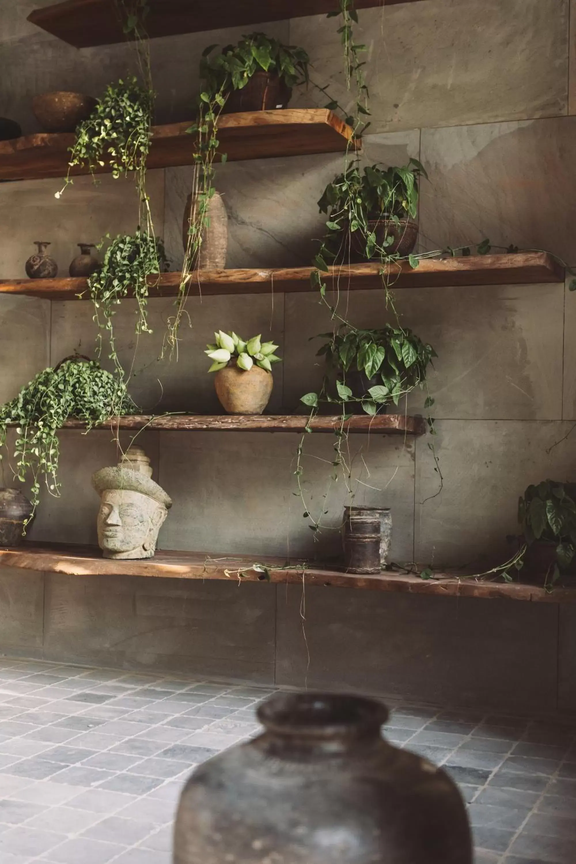 Property building in Zannier Phum Baitang Property building in Zannier Phum Baitang