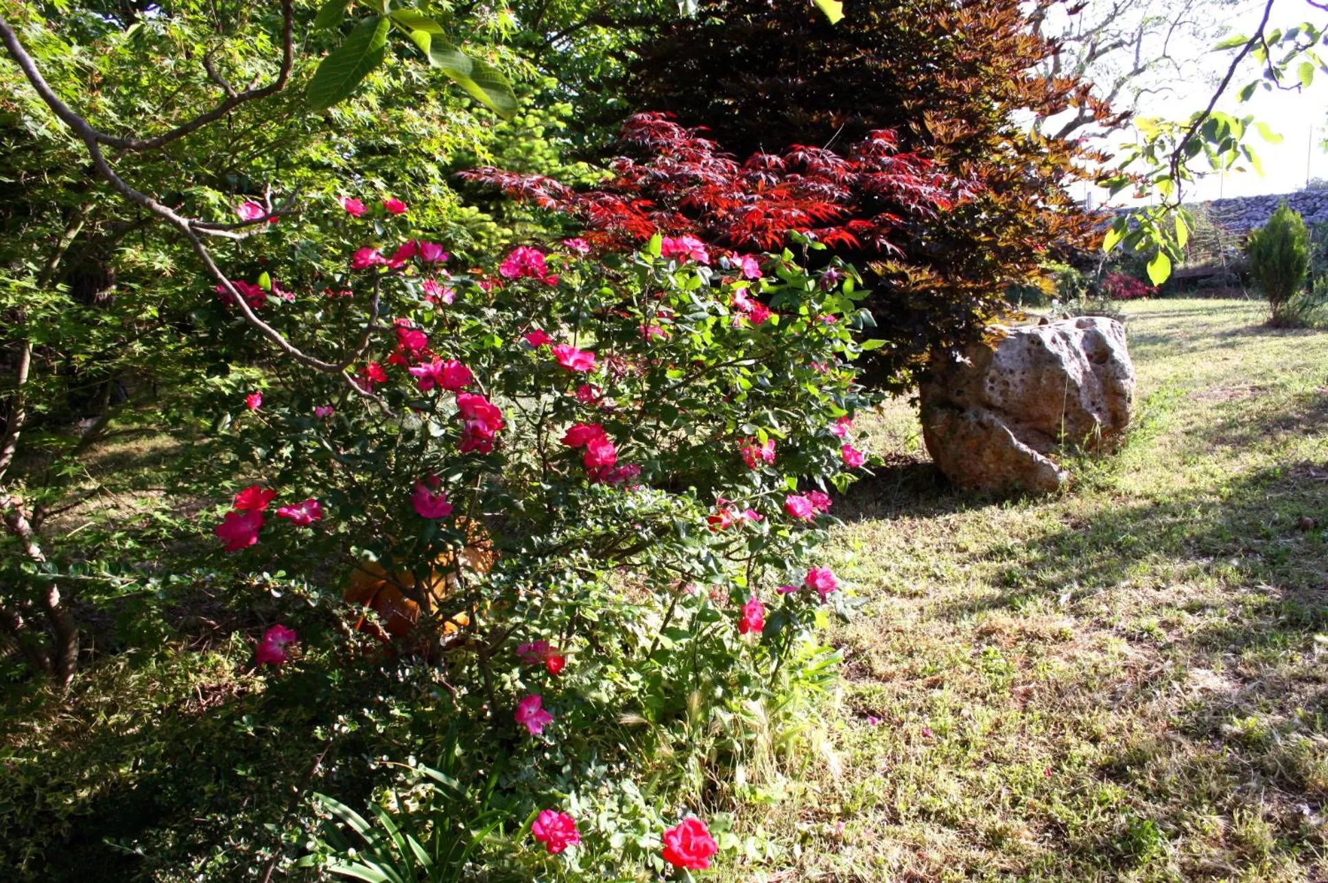 Garden in La Cascata