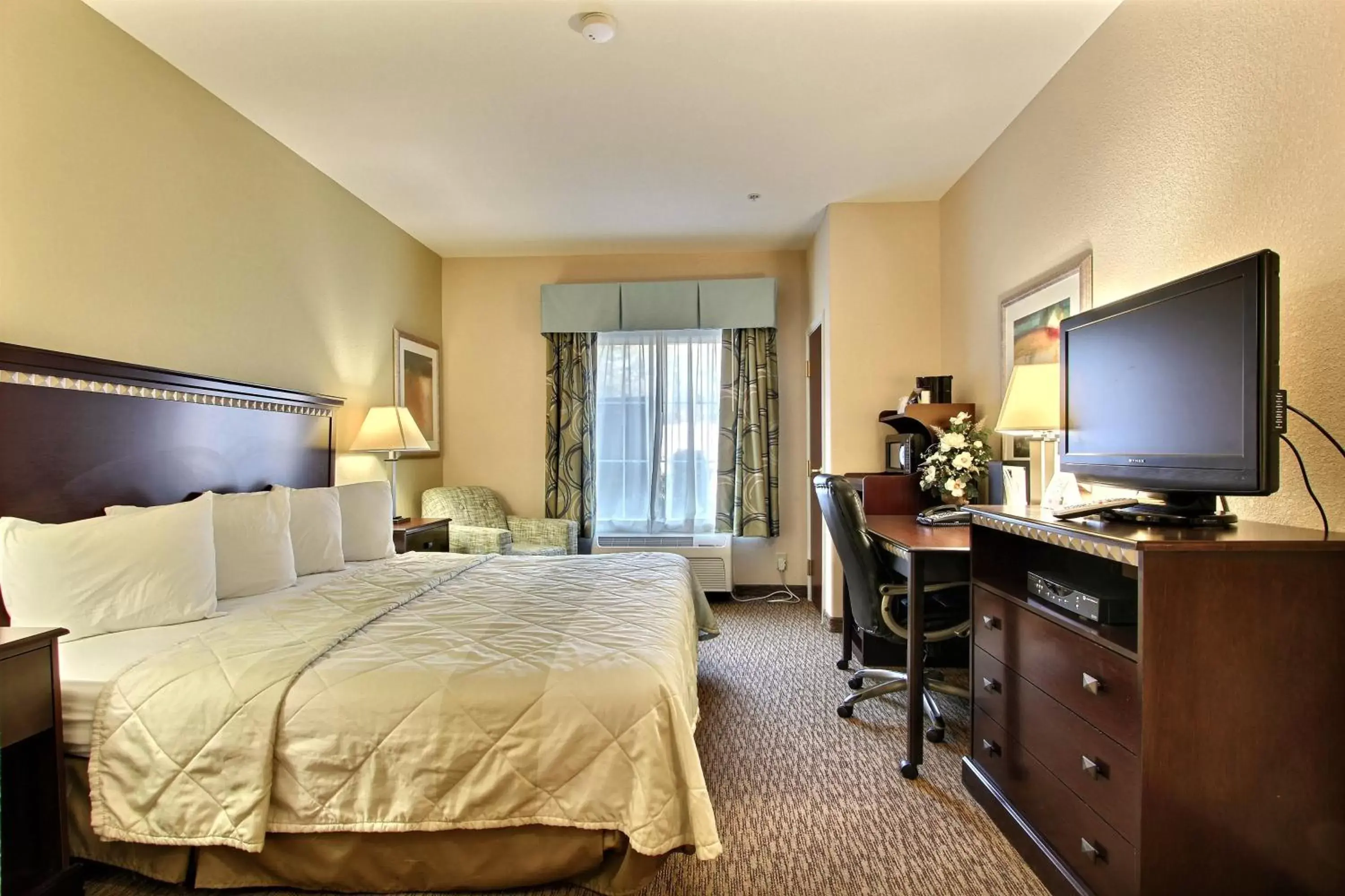 Bed, TV/Entertainment Center in Magnolia Inn and Suites Pooler
