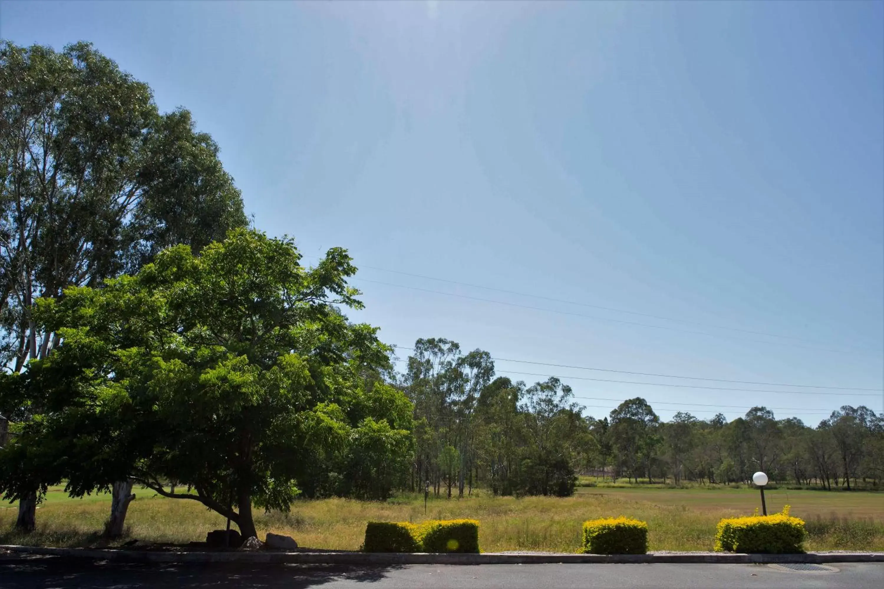 Natural landscape in Country Motel Ipswich