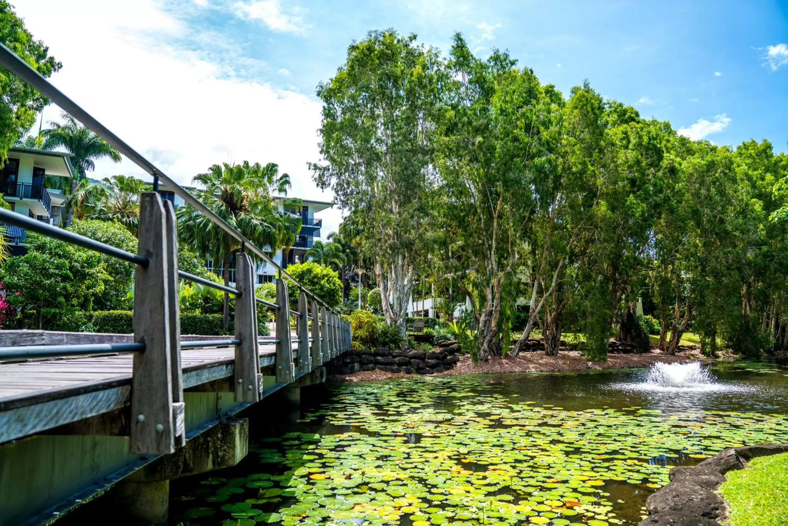 Garden in Sanctuary Palm Cove