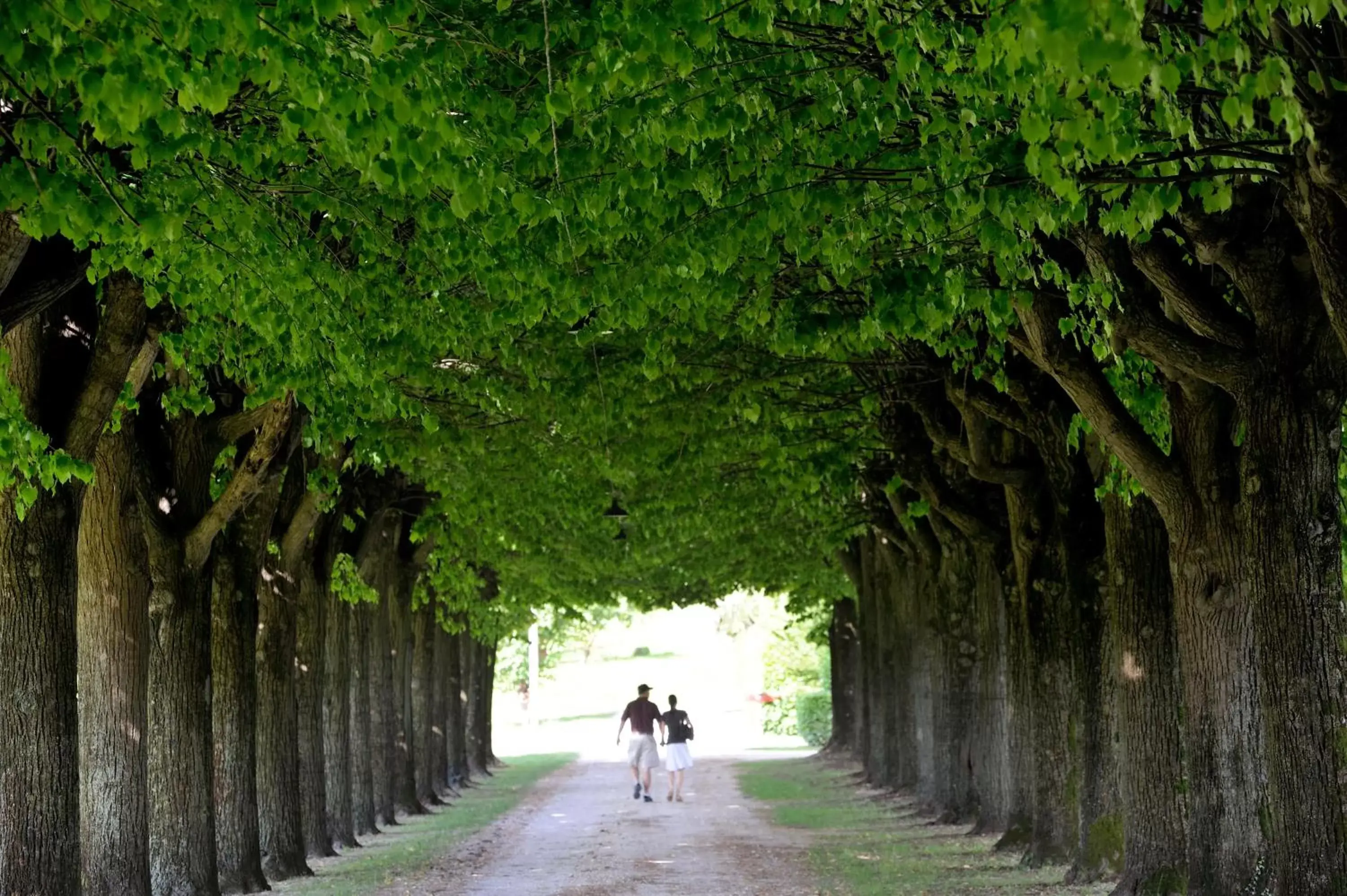 Day in Villa Clementina - Prosecco Country Hotel