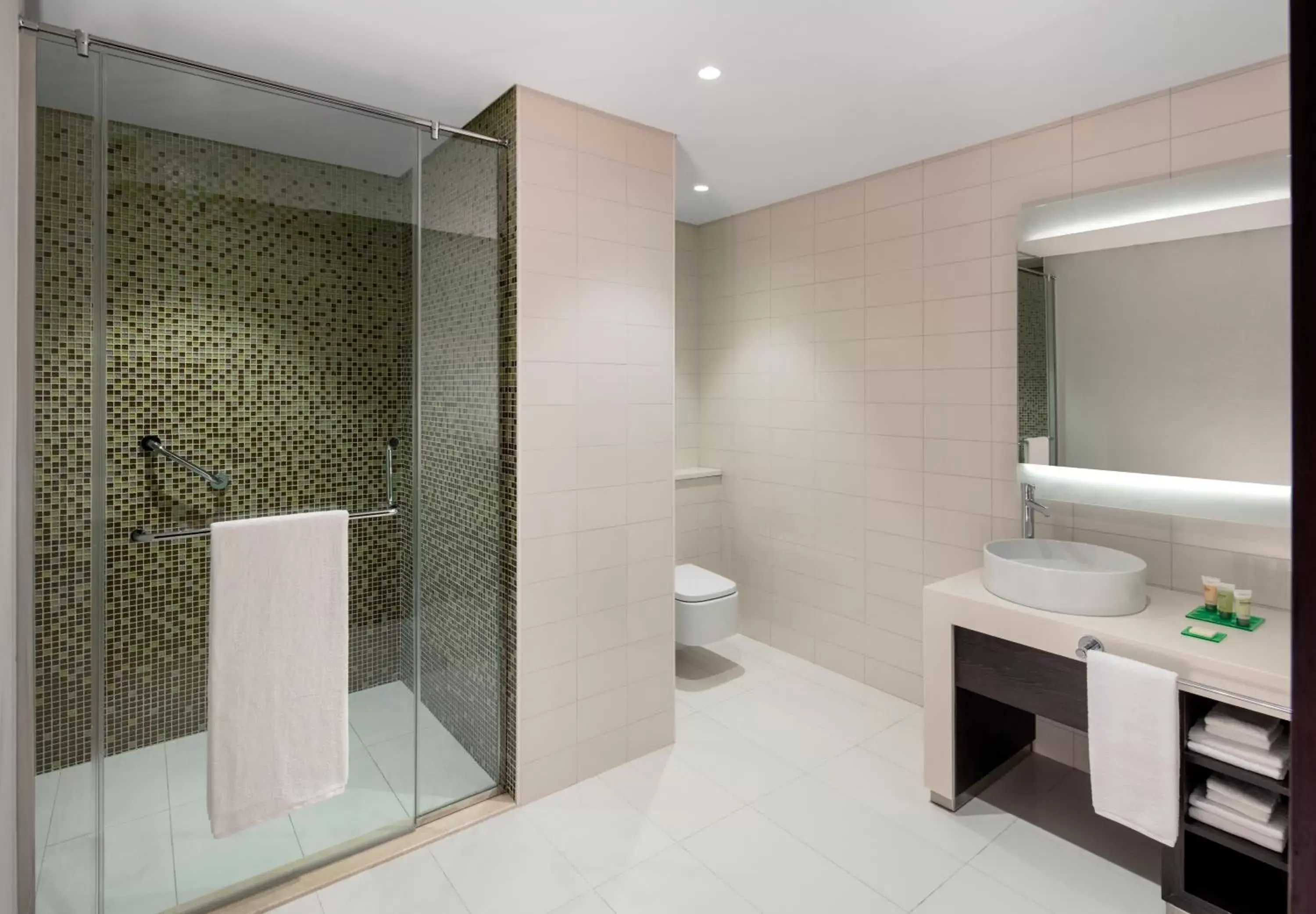 Bathroom in Hyatt Place Dubai Jumeirah