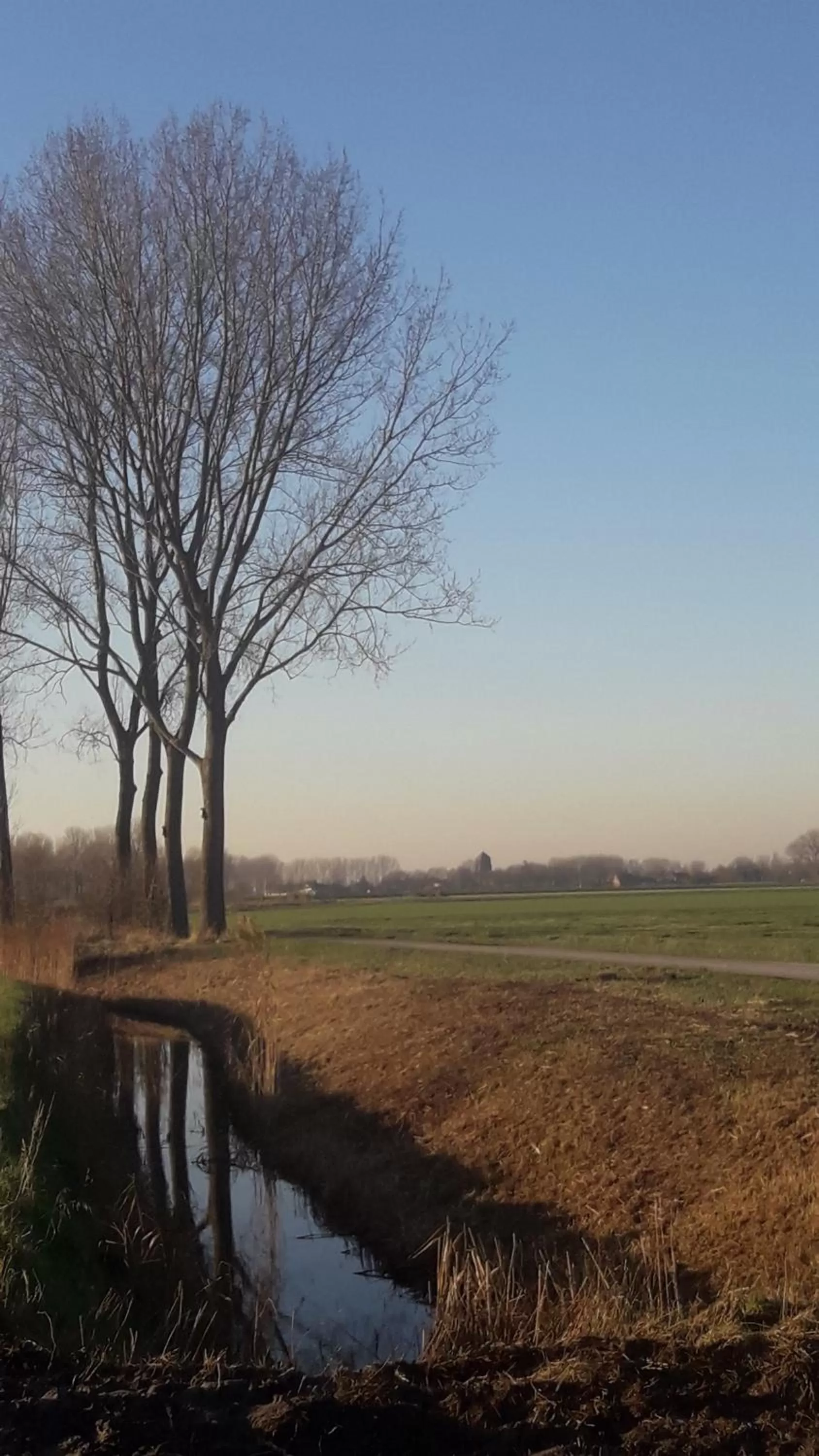 Natural landscape in B&B De Hemelse Polder