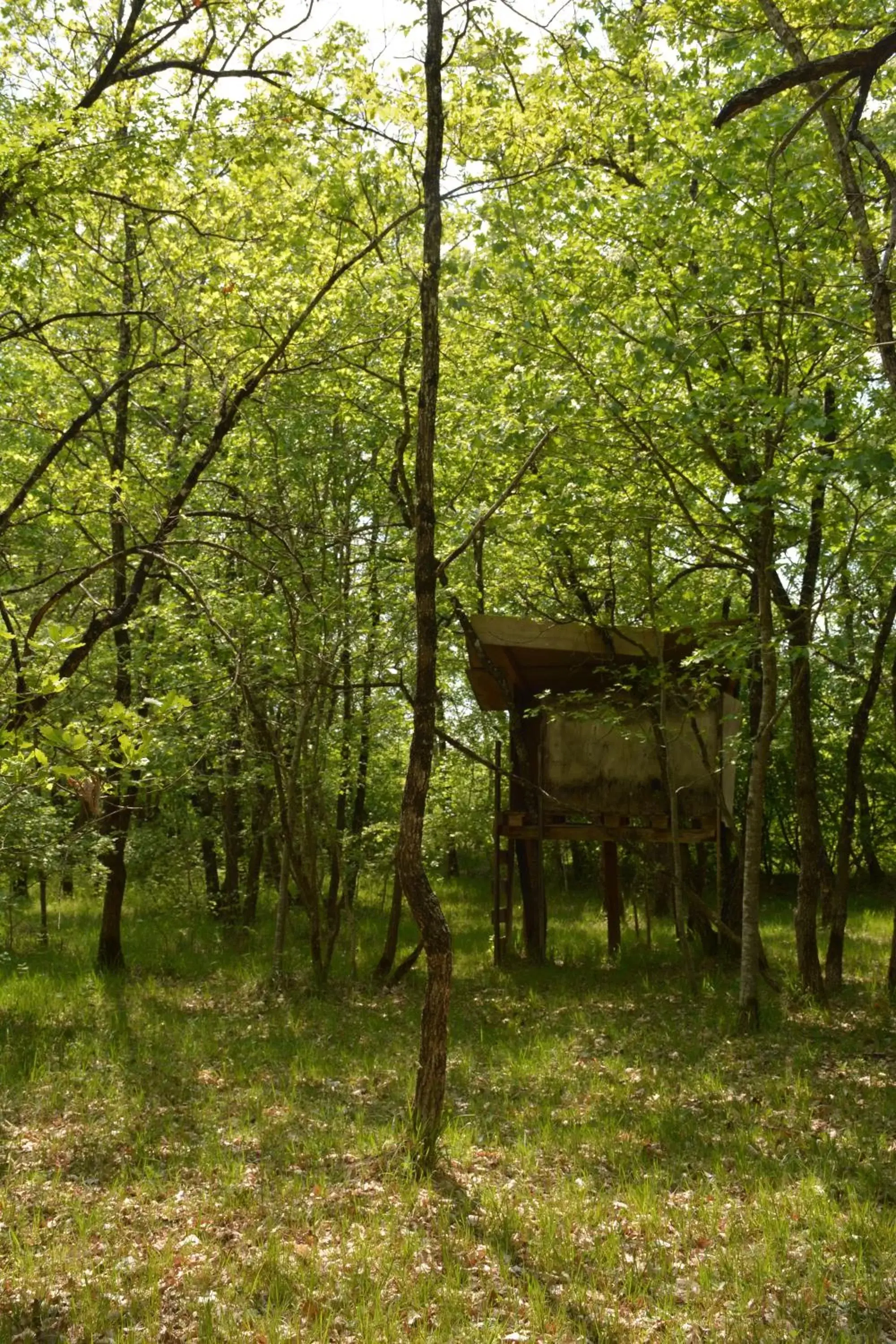 Natural landscape in Les noyers aulnay