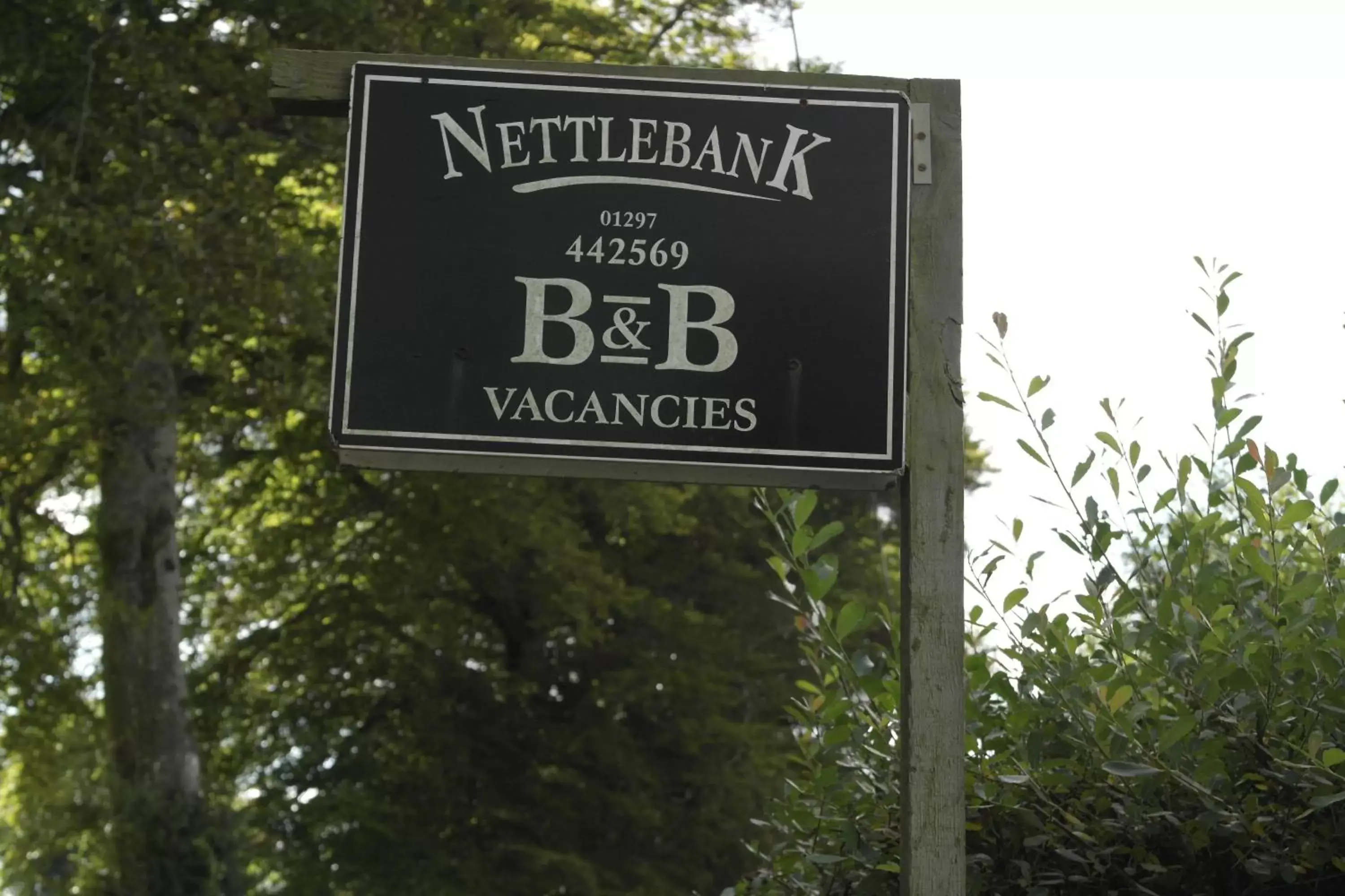 Property logo or sign in Nettle Bank
