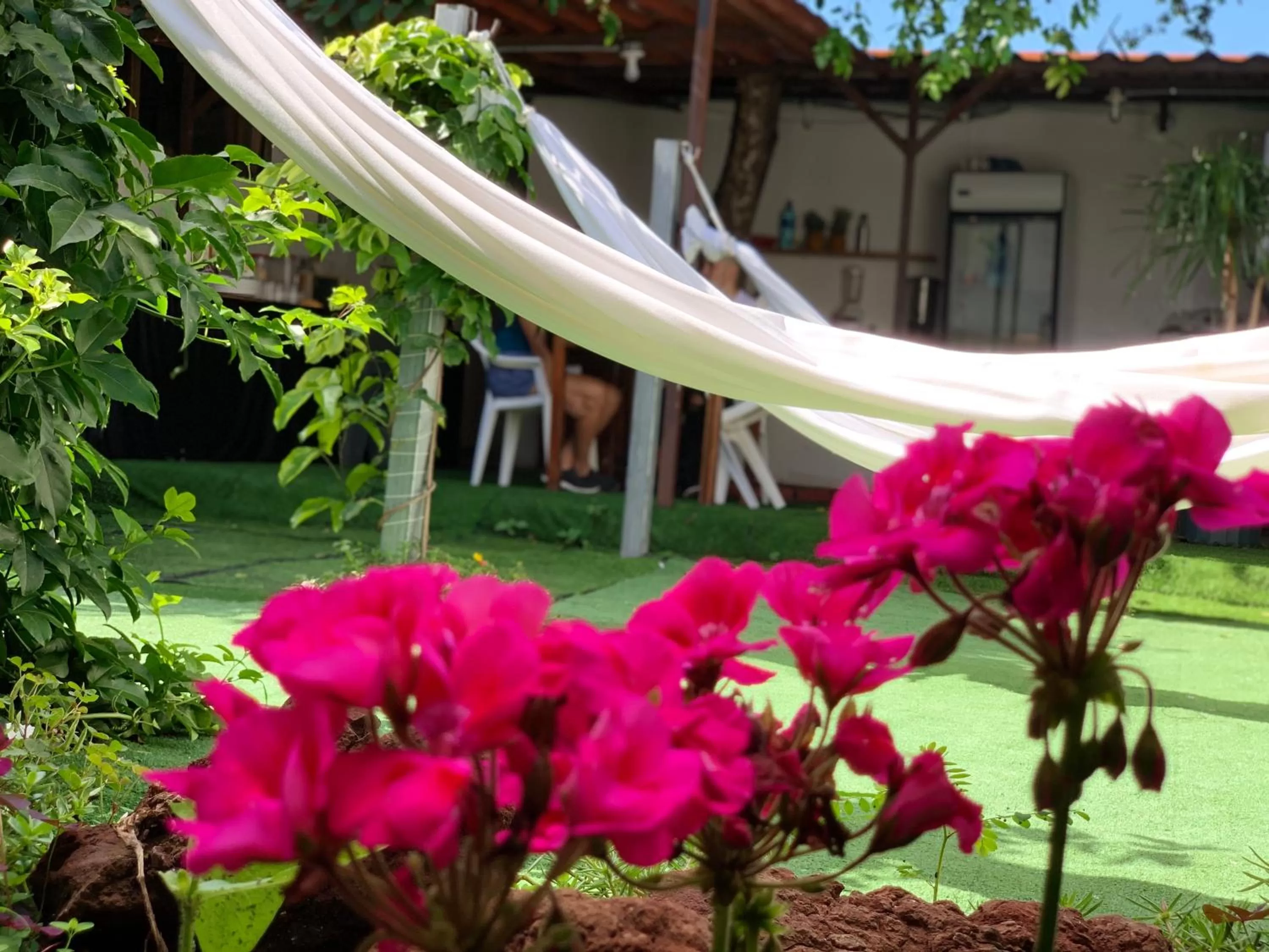 Patio in Hotel Cortez Azul