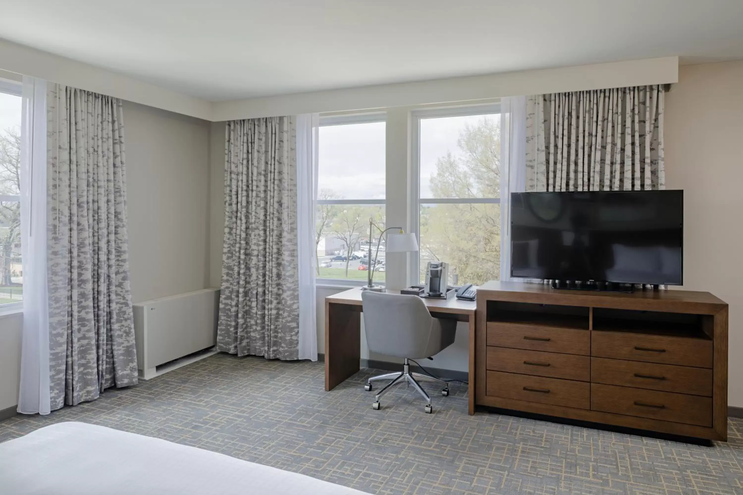 TV and multimedia, TV/Entertainment Center in Hotel Madison & Shenandoah Conference Ctr.