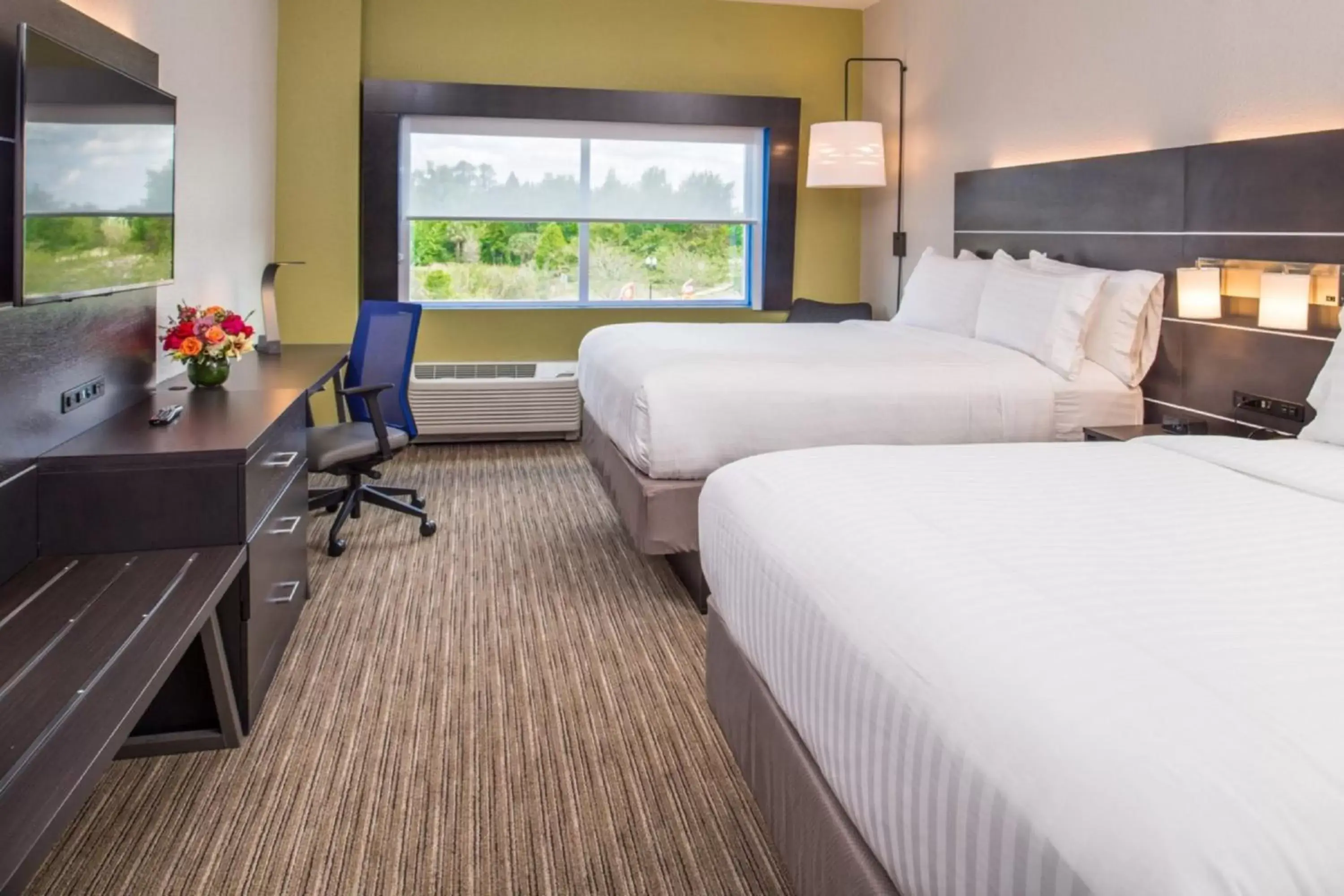 Photo of the whole room, Bed in Holiday Inn Express & Suites - Tampa North - Wesley Chapel, an IHG Hotel