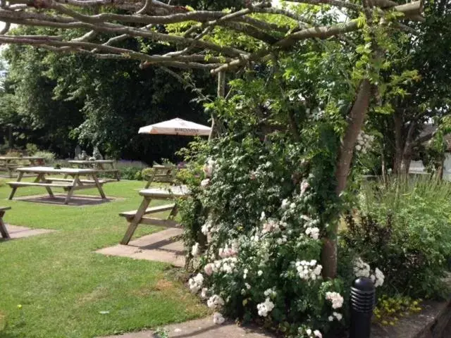 Garden in The Swan Inn