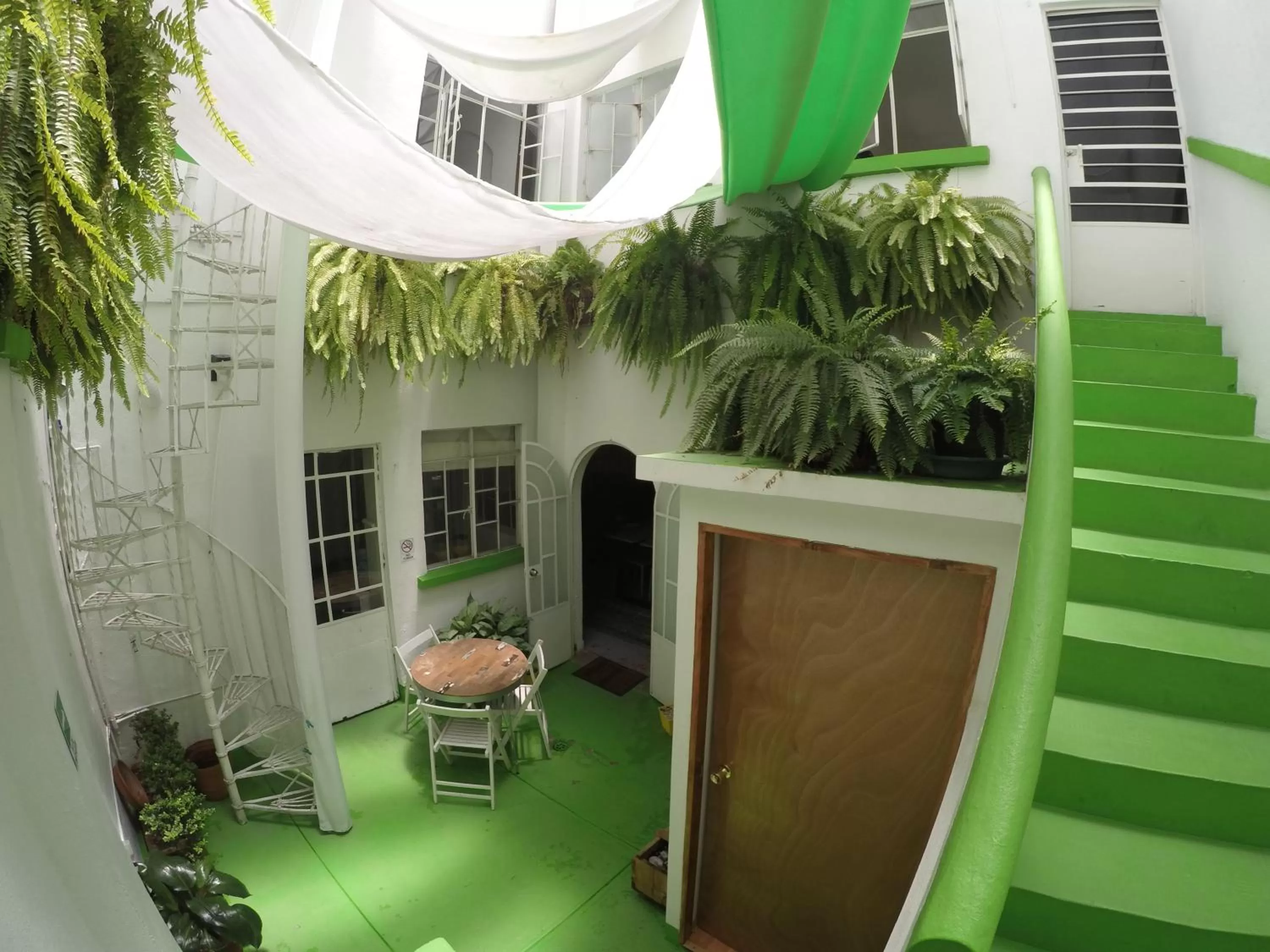 Patio in Distrito Condesa Rooms and Studios