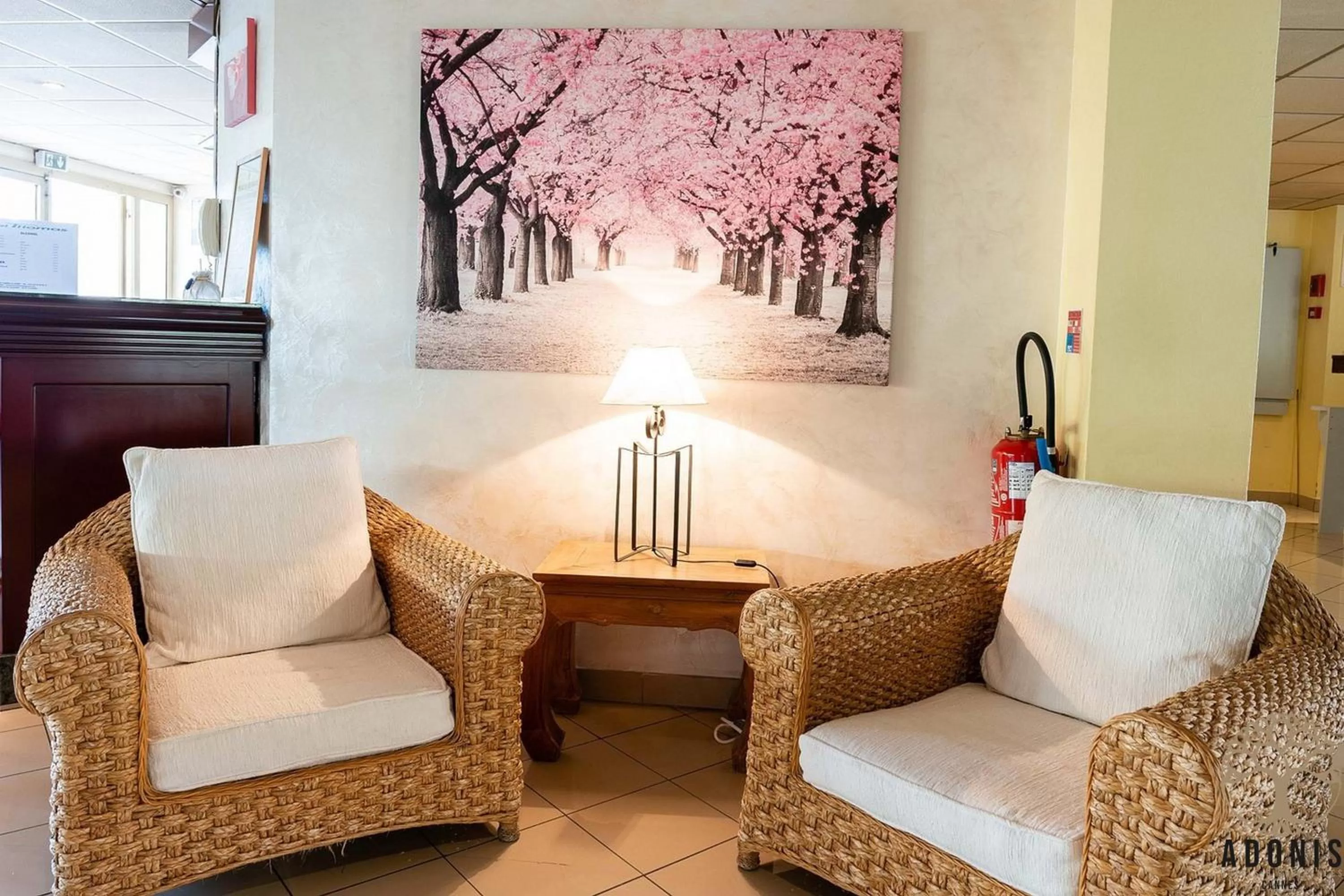 Lobby or reception in Adonis Cannes - Hôtel Thomas