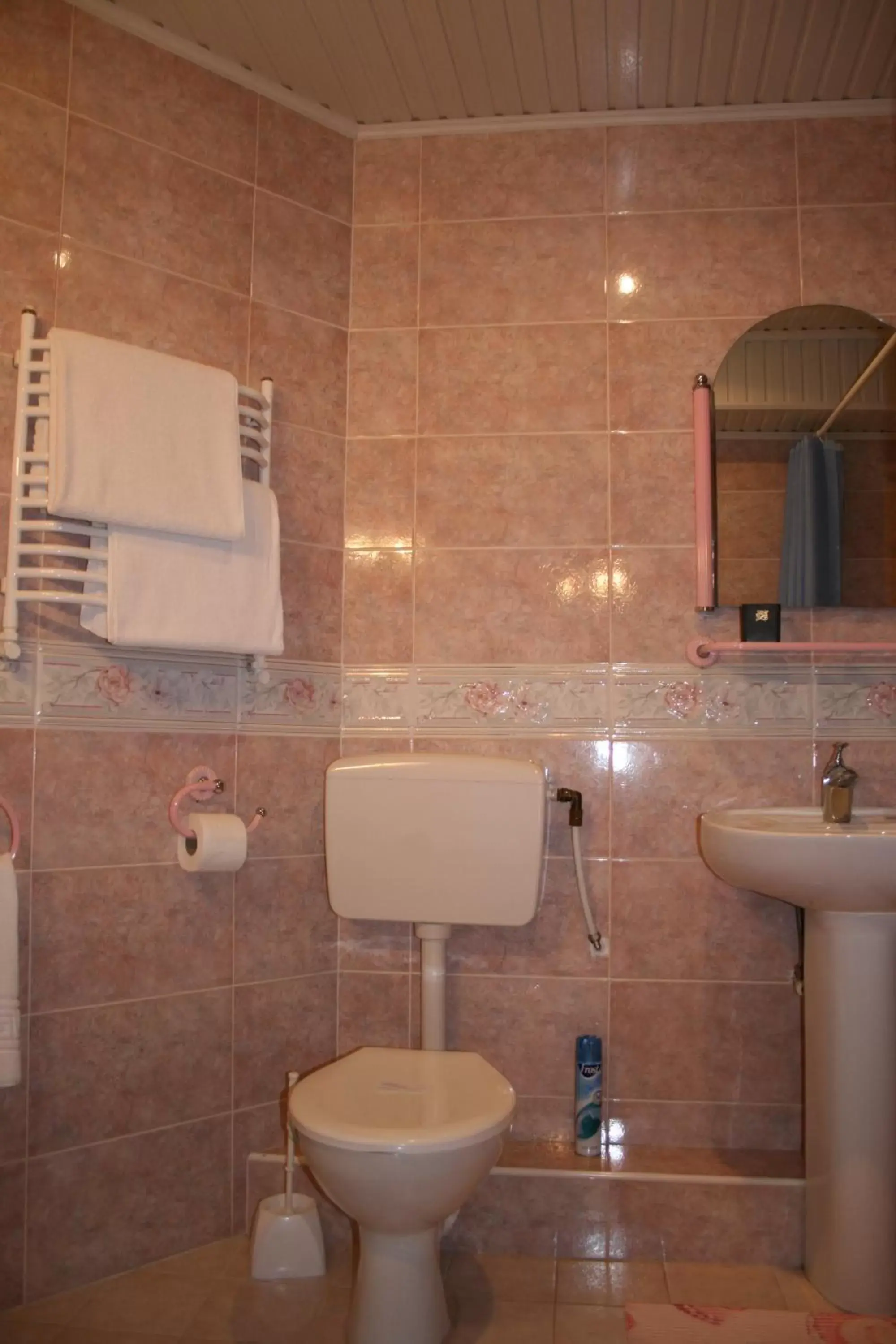 Bathroom in Dacia Hotel