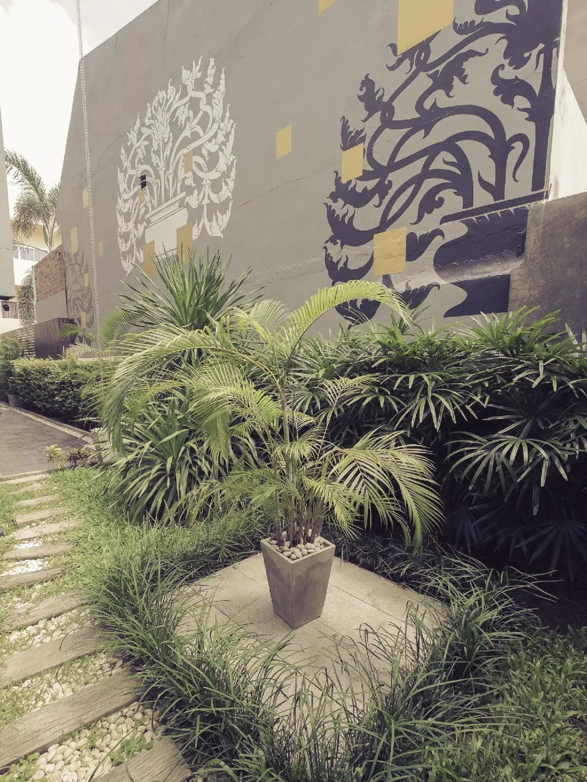 Garden in Thapae Loft Hotel (SHA Certified)