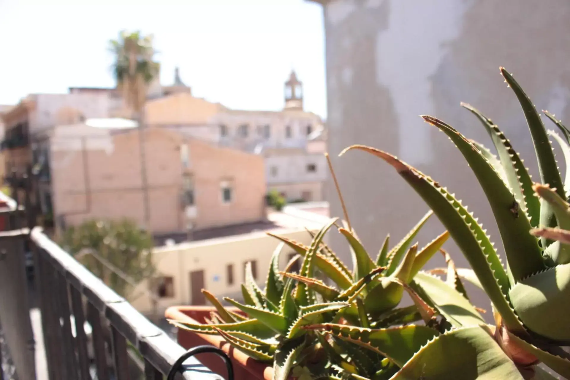 View (from property/room) in La Via delle Biciclette