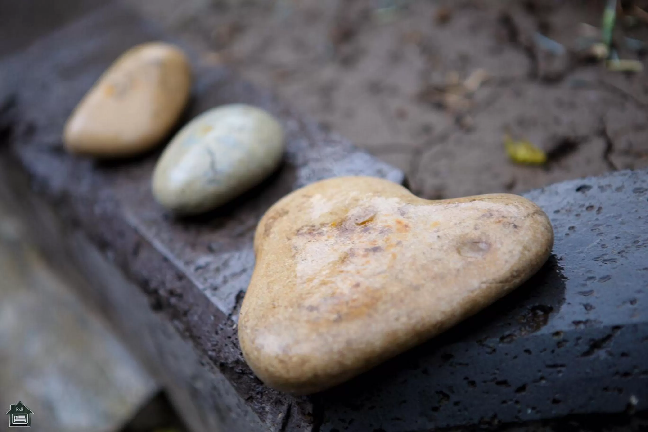 Guest House in Gyumri