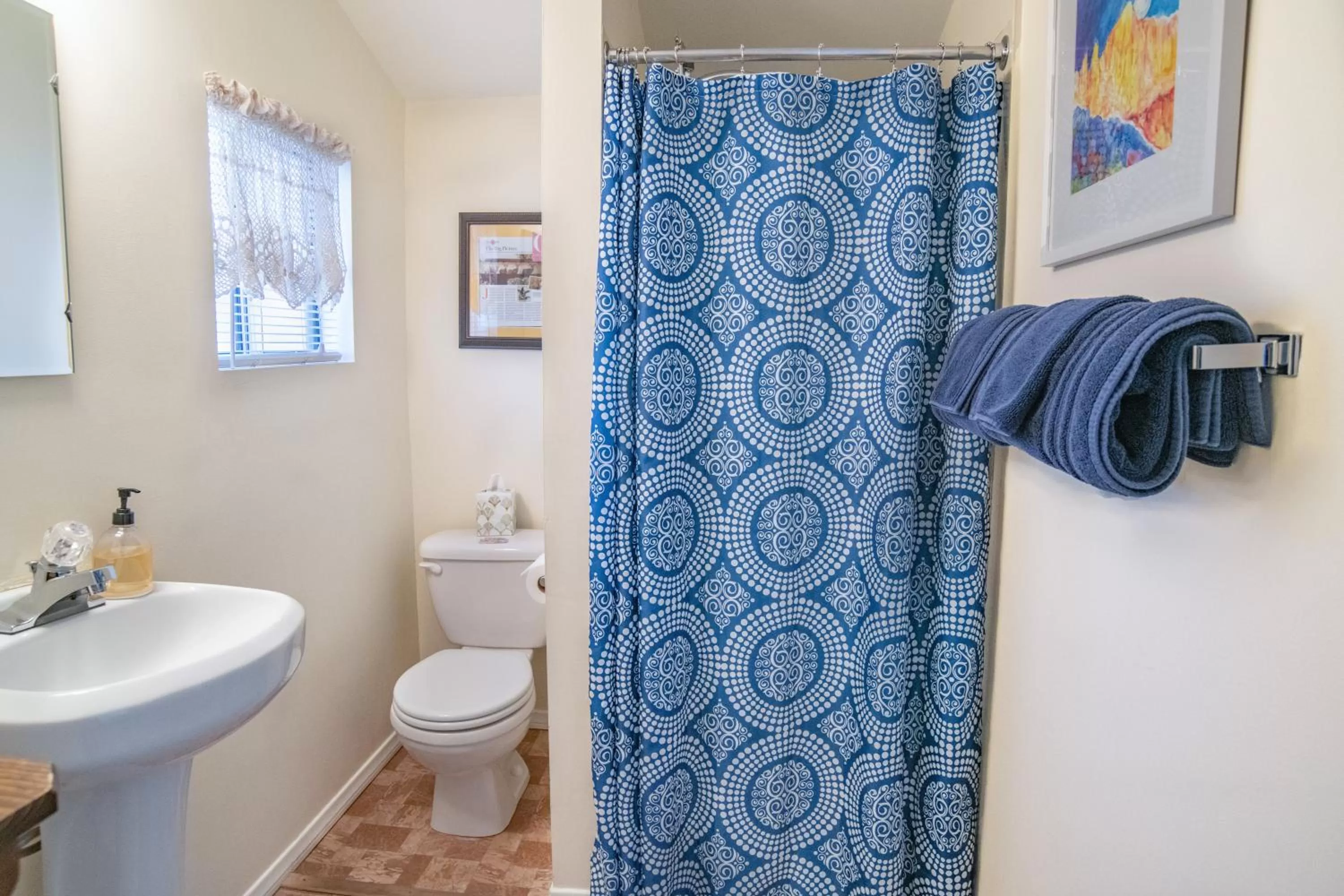 Toilet in Mt Williamson Motel and Basecamp