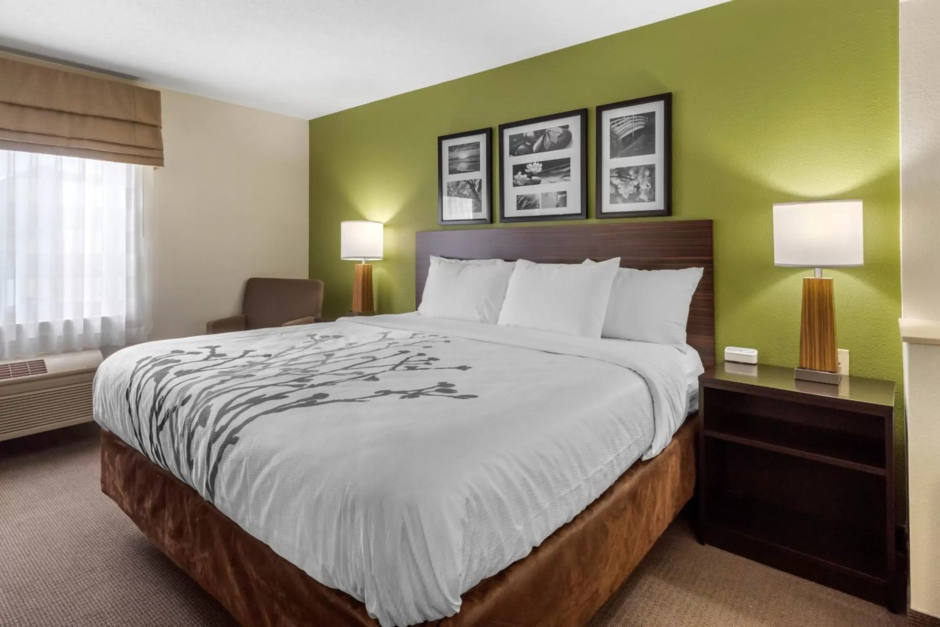 Bed in Sleep Inn & Suites Allendale