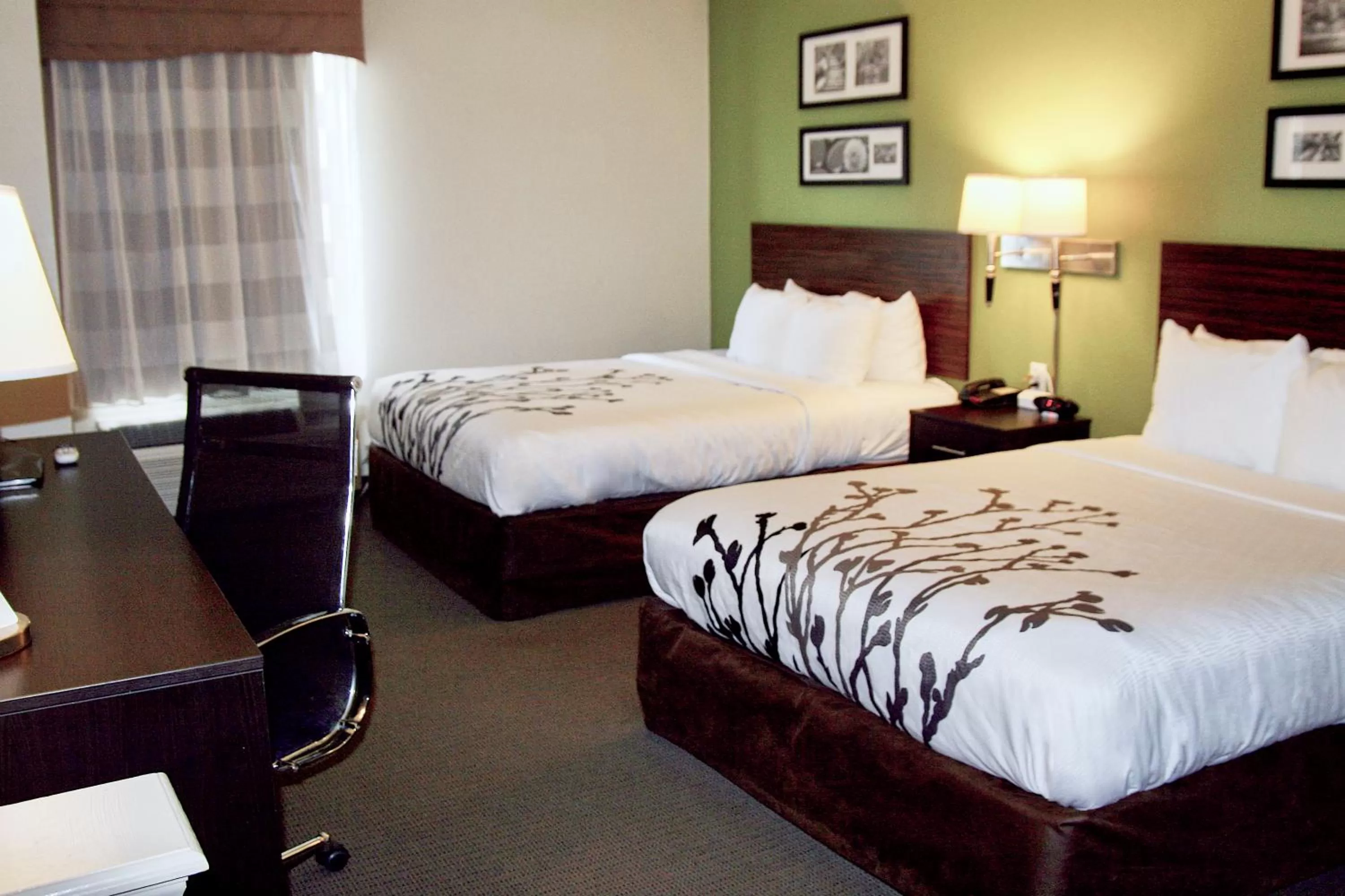 Queen Room with Two Queen Beds - Accessible/Non-Smoking  in Sleep Inn & Suites Stony Creek - Petersburg South