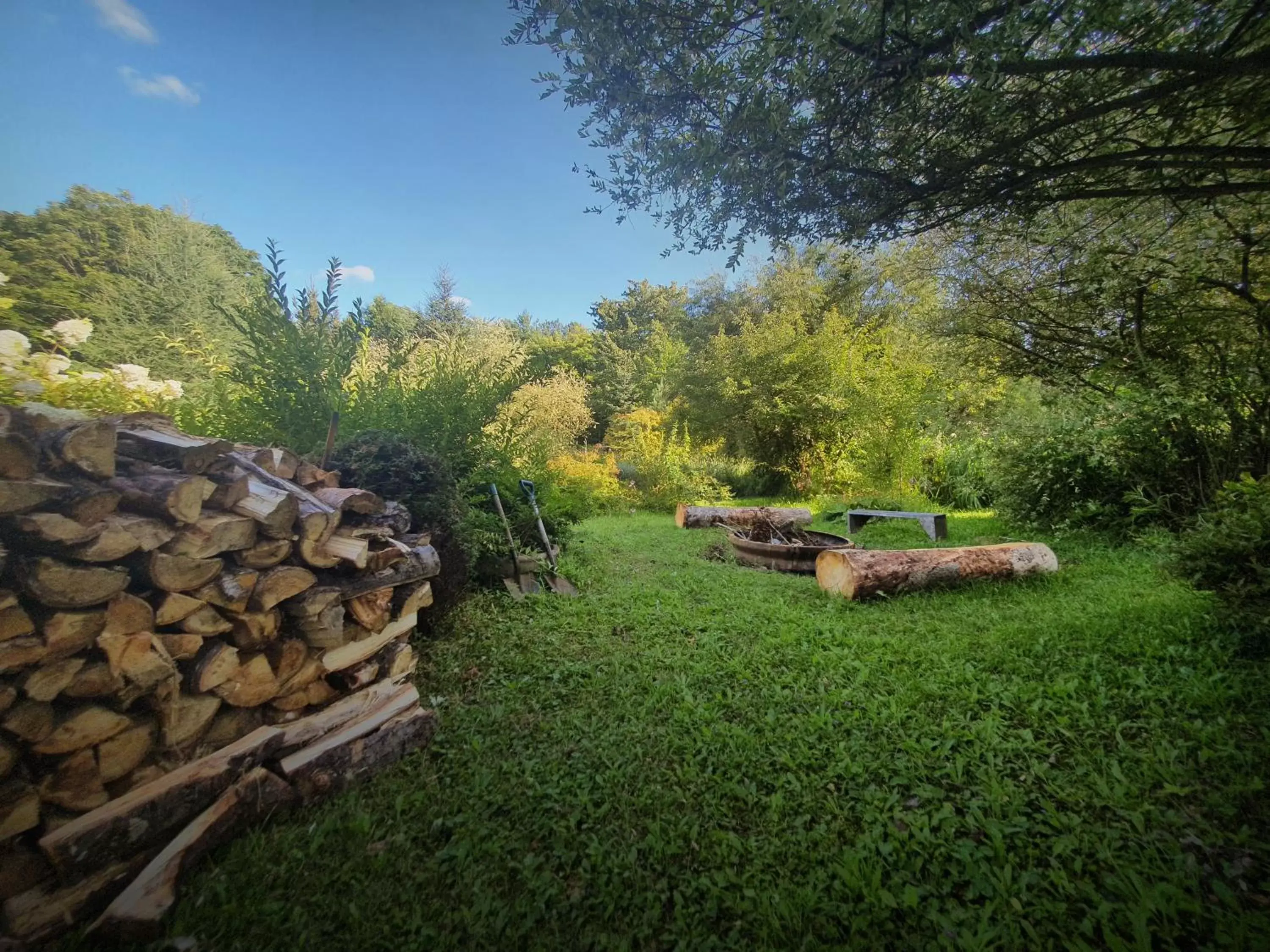 Garden in Le Salon des Inconnus