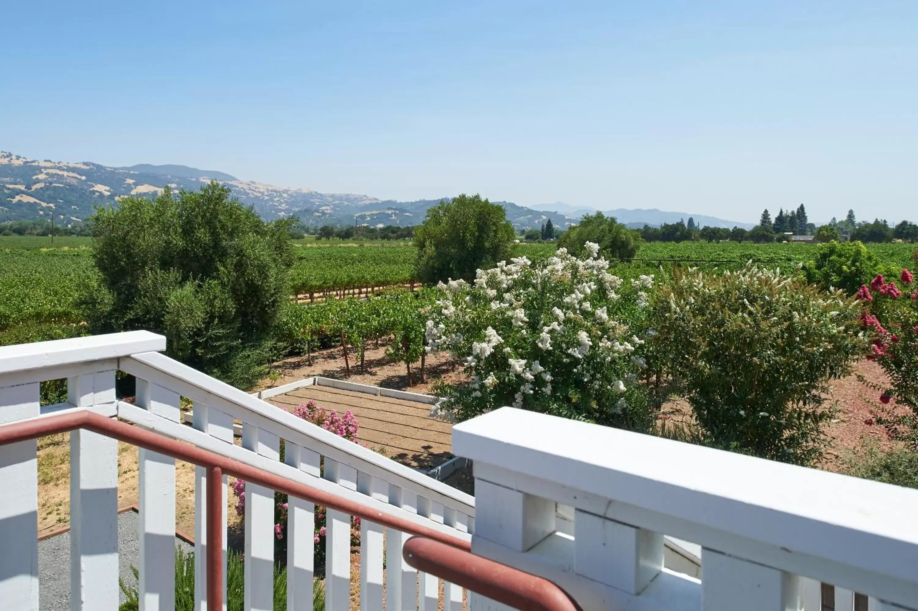 Balcony/Terrace in Geyserville Inn