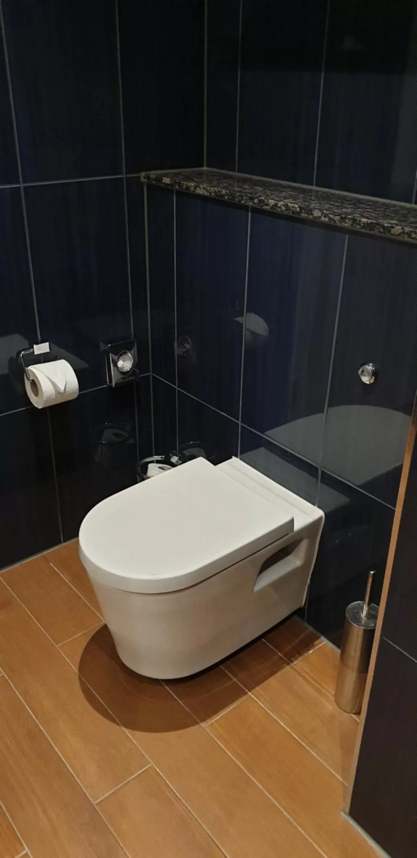 Toilet, Bathroom in Brooklands Hotel & Spa