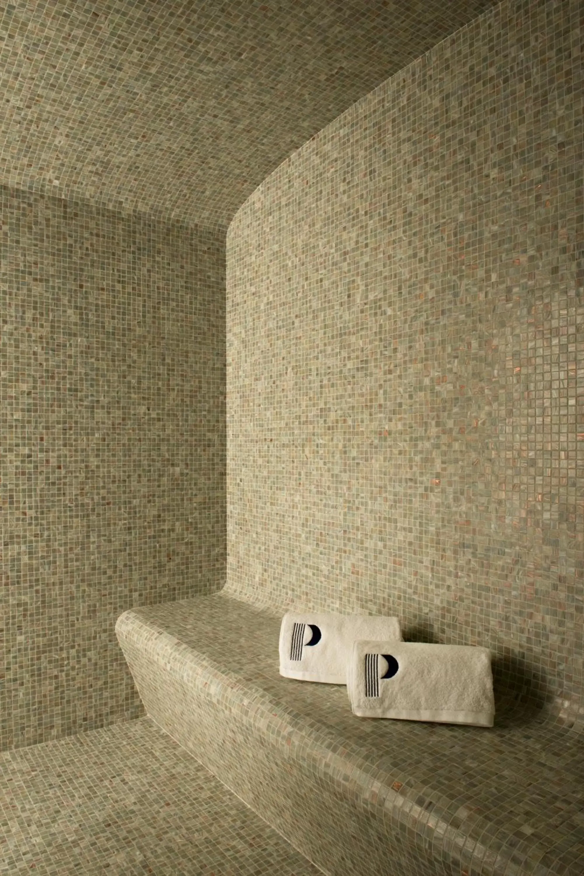 Steam room, Bathroom in Hotel Parister & Spa